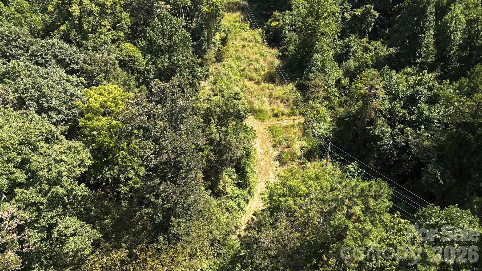 Acreage at 401 ± Upper Flat Creek Road, Weaverville, photo 16 of 44