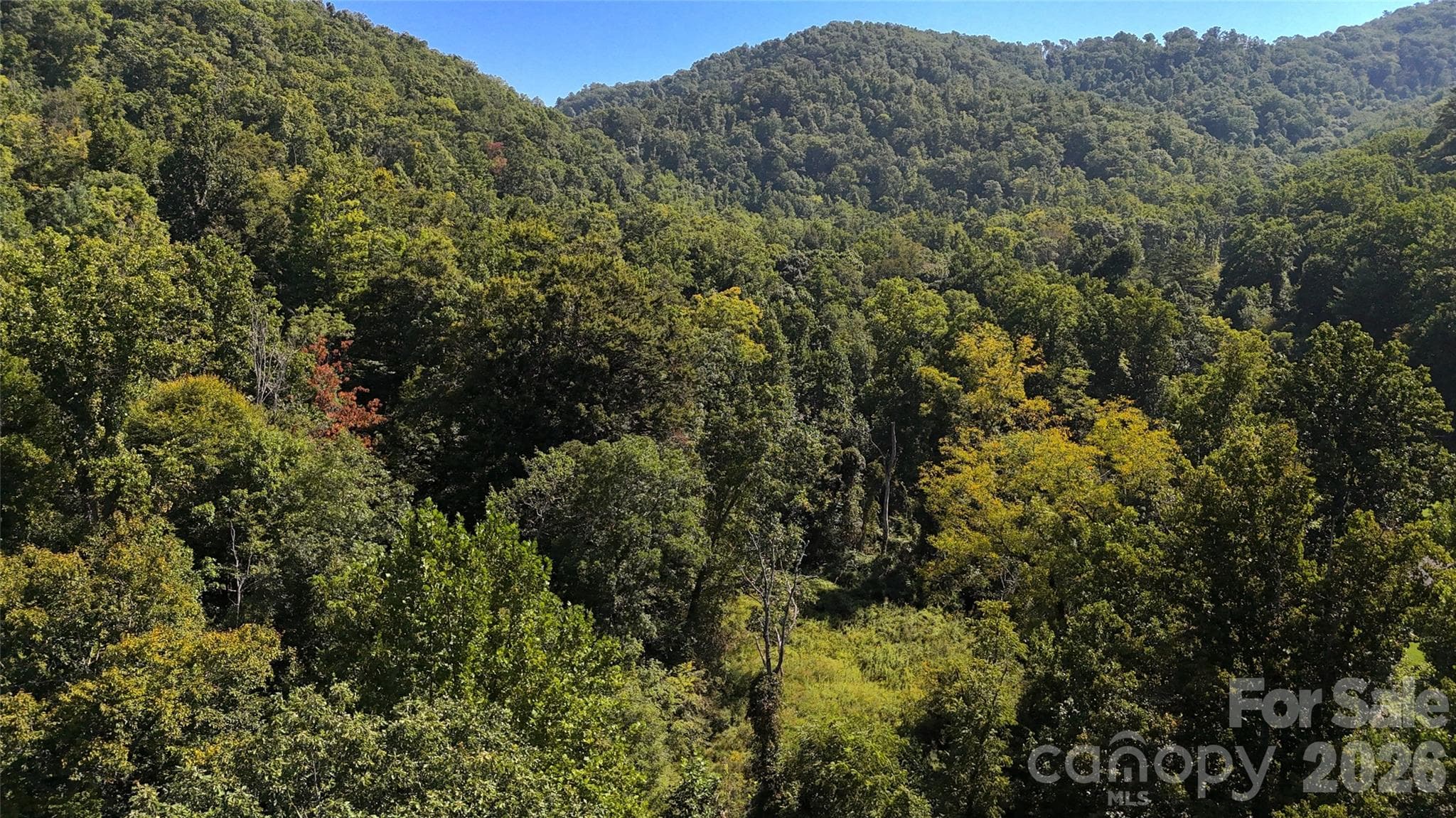 Acreage at 401 ± Upper Flat Creek Road, Weaverville, photo 17 of 44