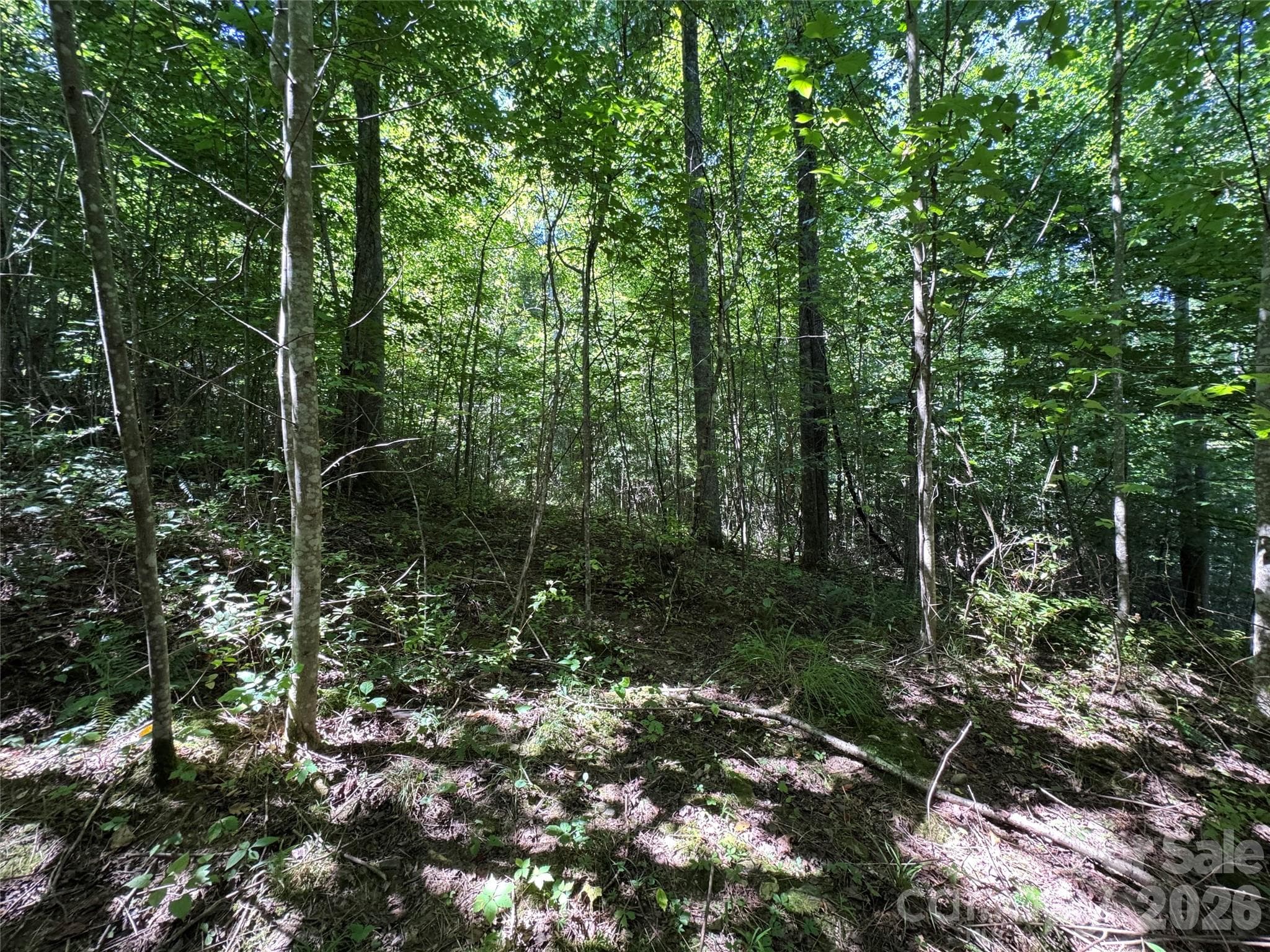 Acreage at 401 ± Upper Flat Creek Road, Weaverville, photo 20 of 44