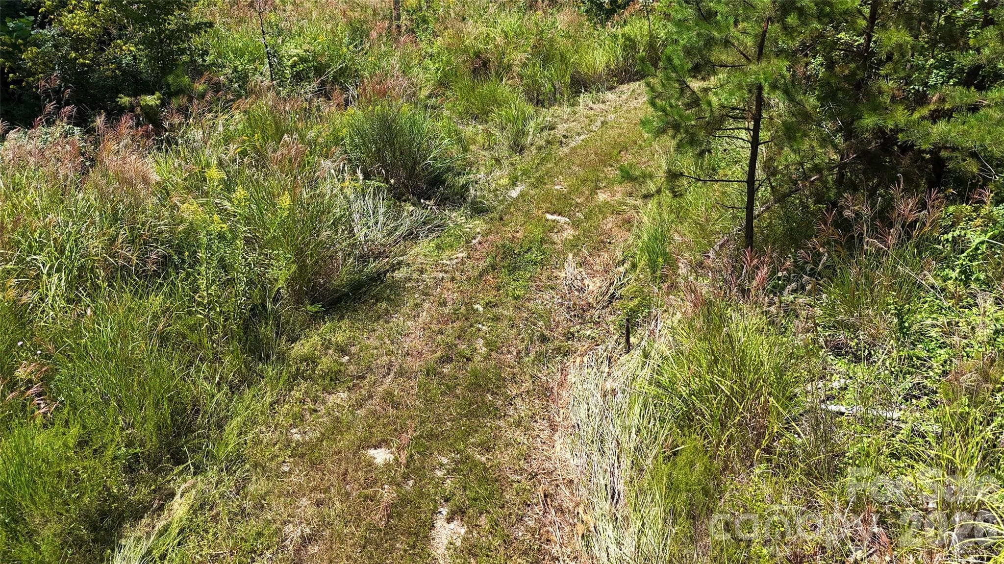 Acreage at 401 ± Upper Flat Creek Road, Weaverville, photo 21 of 44