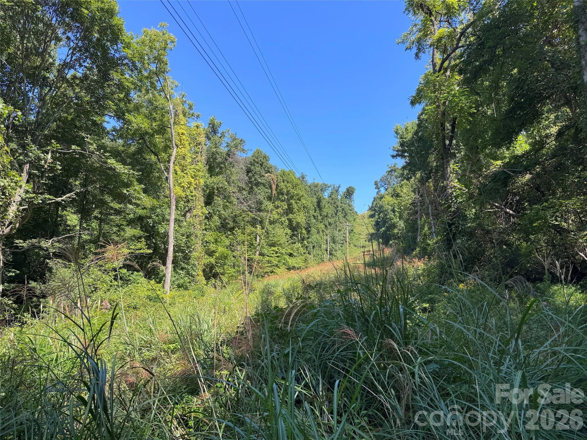 Acreage at 401 ± Upper Flat Creek Road, Weaverville, photo 29 of 44