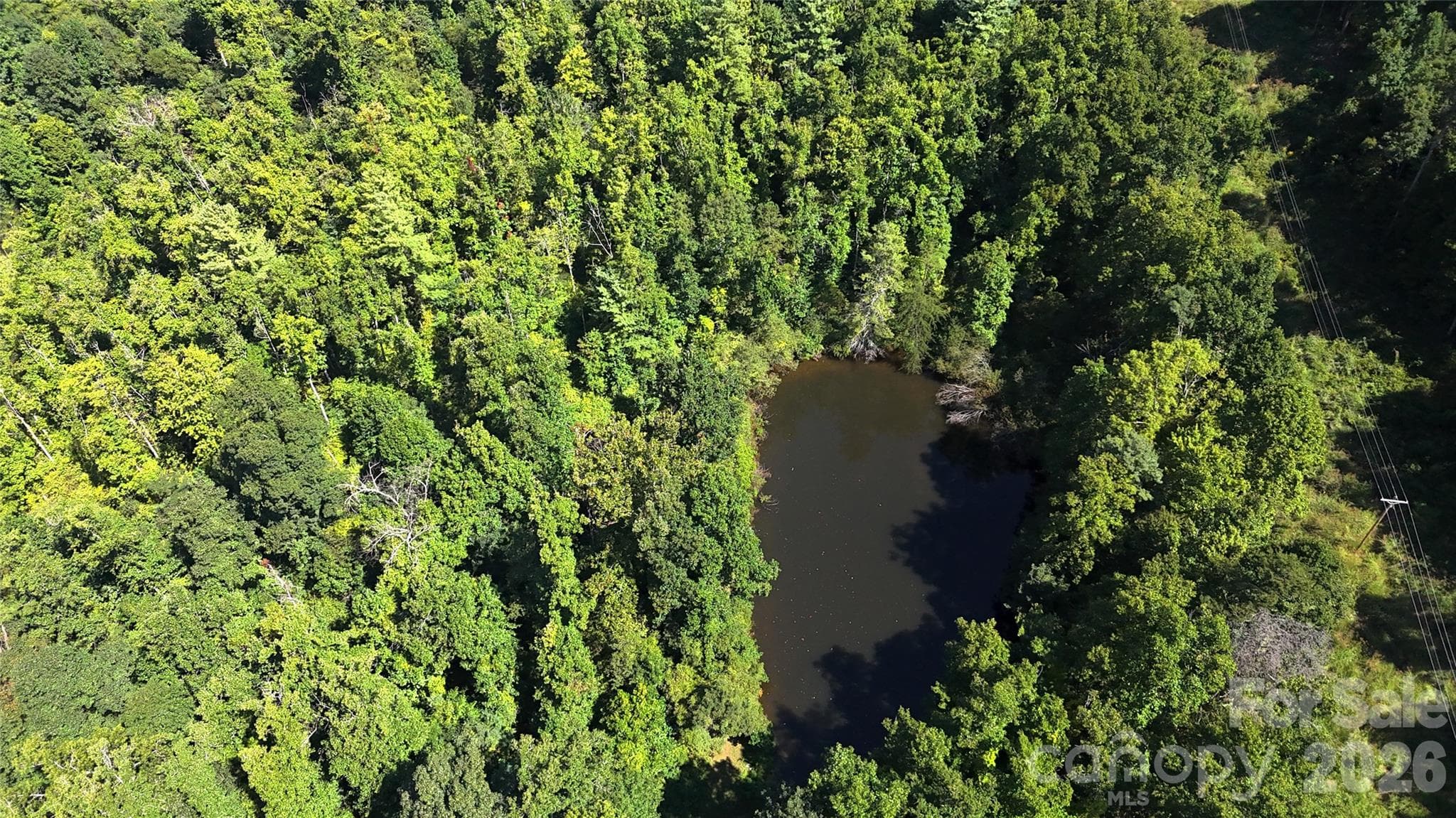 Acreage at 401 ± Upper Flat Creek Road, Weaverville, photo 31 of 44