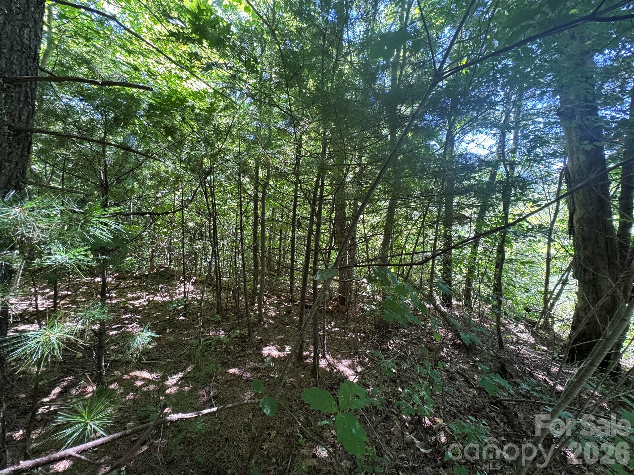 Acreage at 401 ± Upper Flat Creek Road, Weaverville, photo 35 of 44
