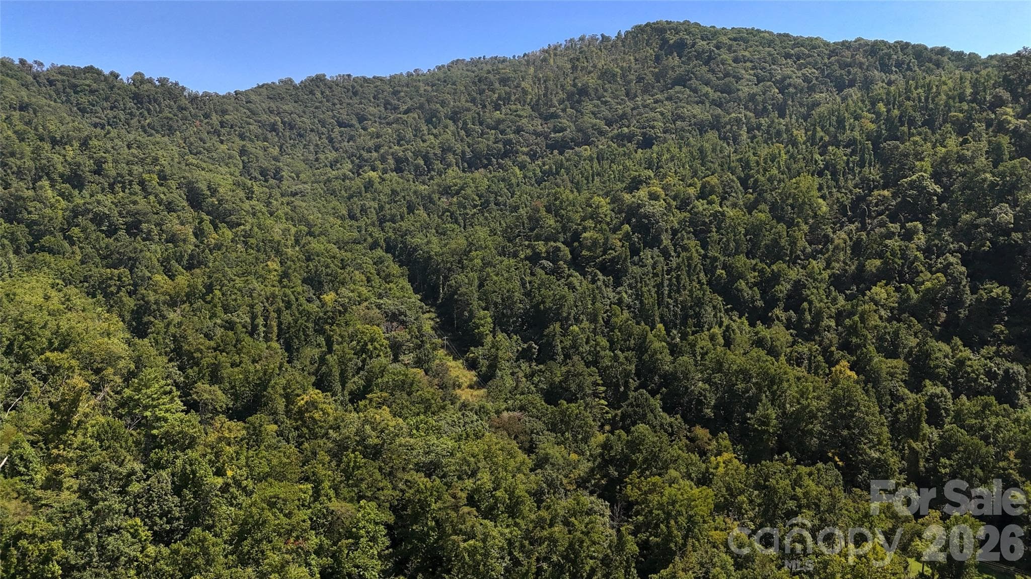 Acreage at 401 ± Upper Flat Creek Road, Weaverville, photo 38 of 44