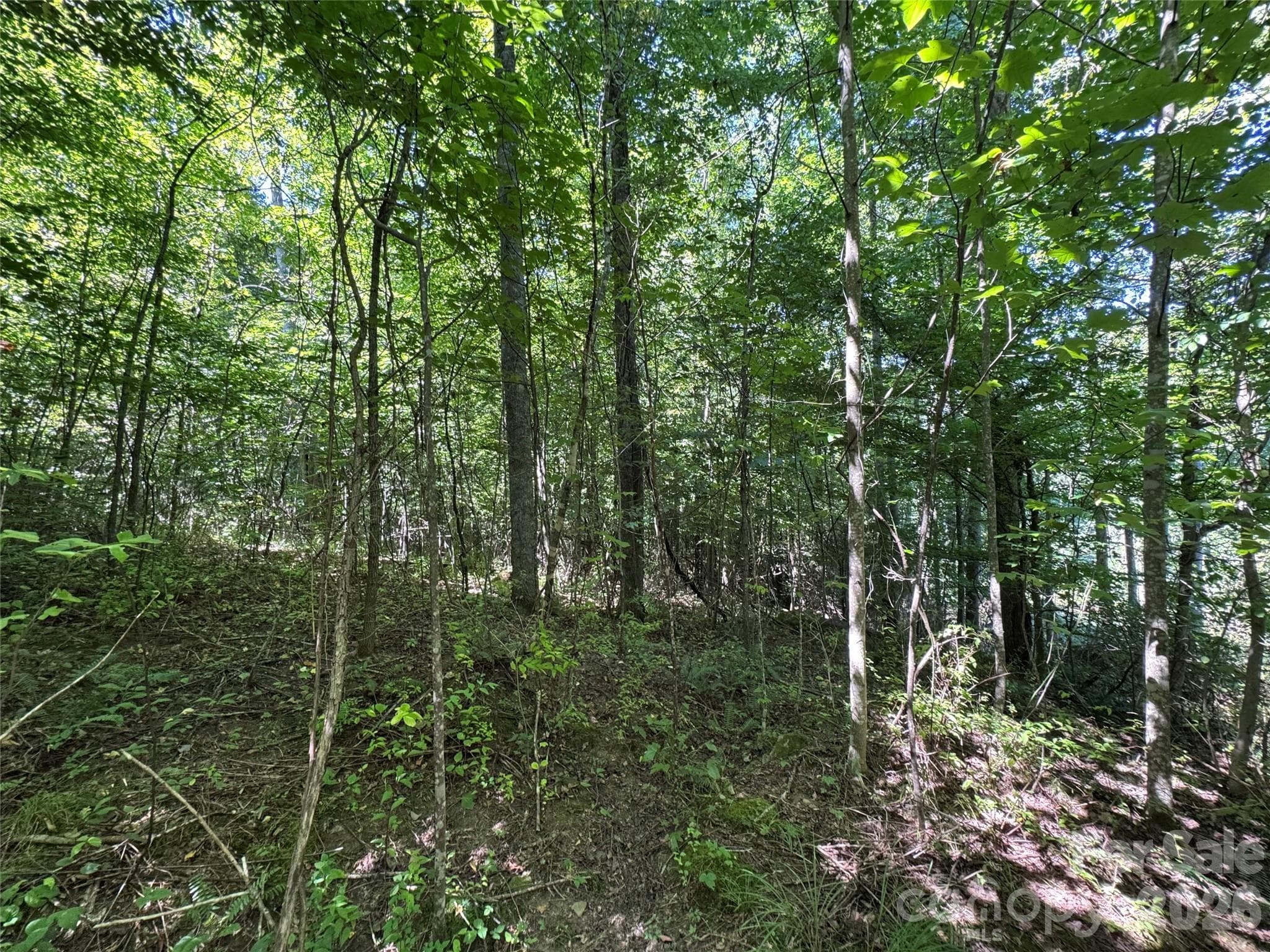 Acreage at 401 ± Upper Flat Creek Road, Weaverville, photo 41 of 44