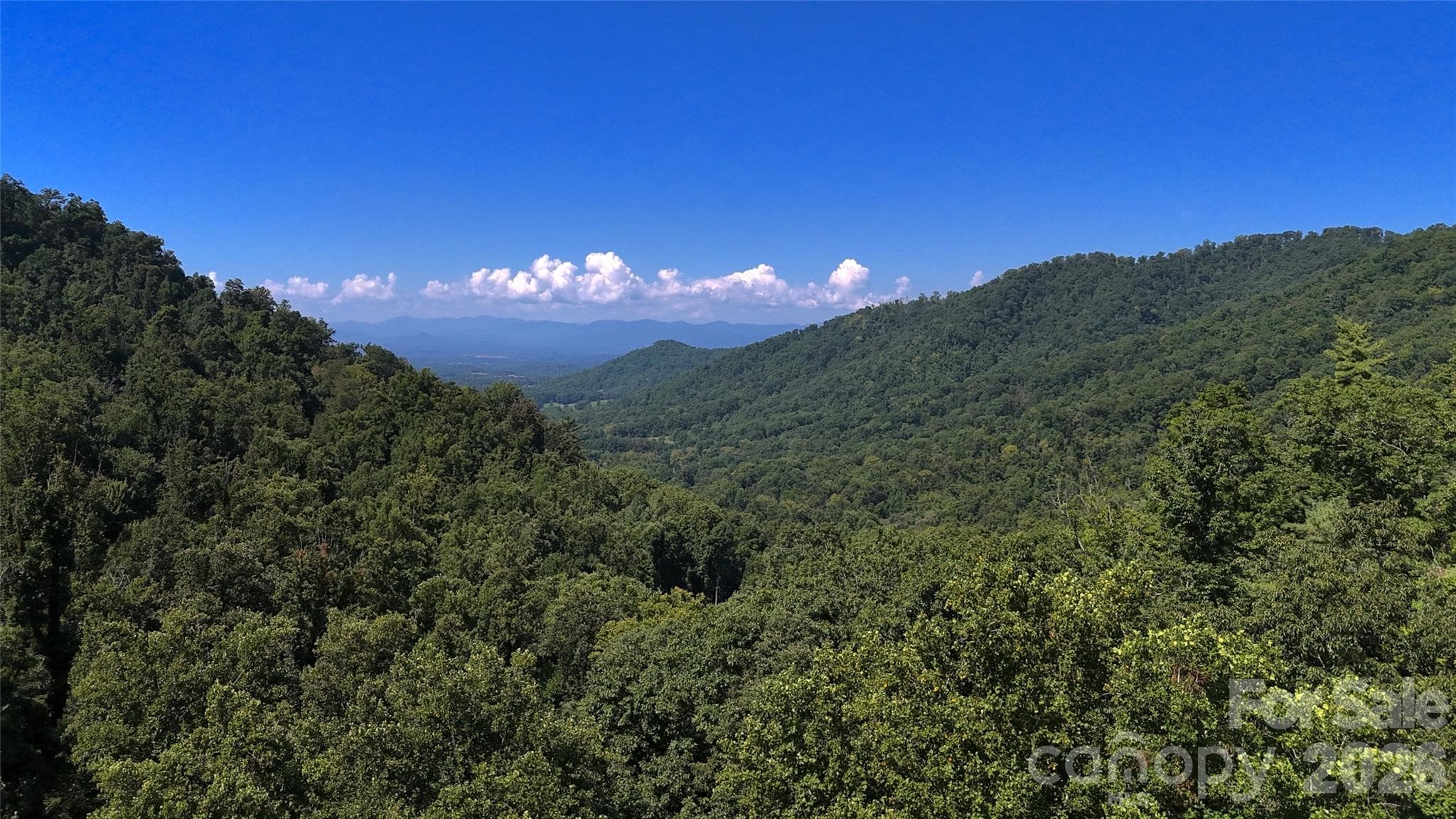 Acreage at 401 ± Upper Flat Creek Road, Weaverville, photo 43 of 44