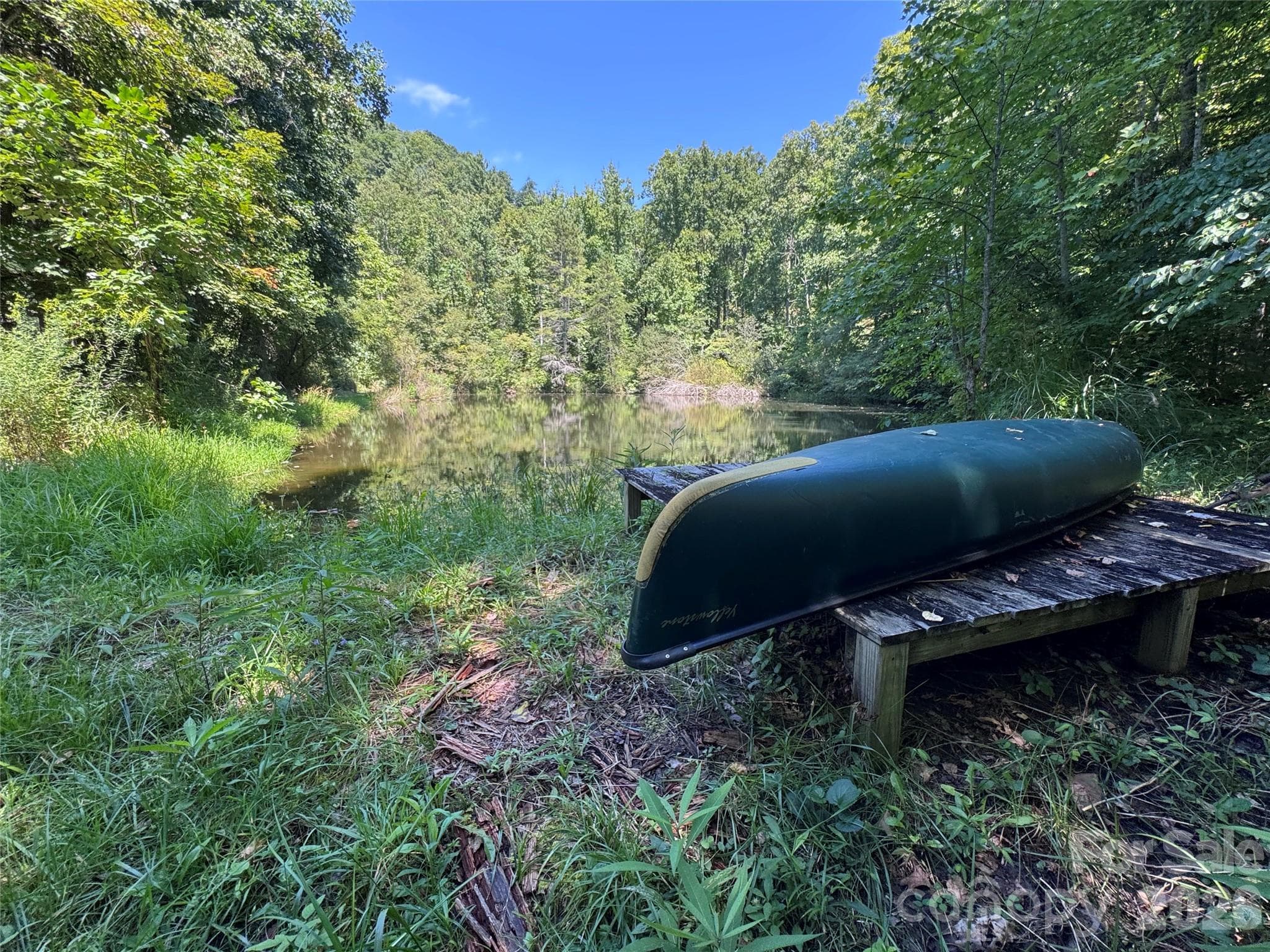 Acreage at 300 ± Acres Upper Flat Creek Road, Weaverville, photo 5 of 47