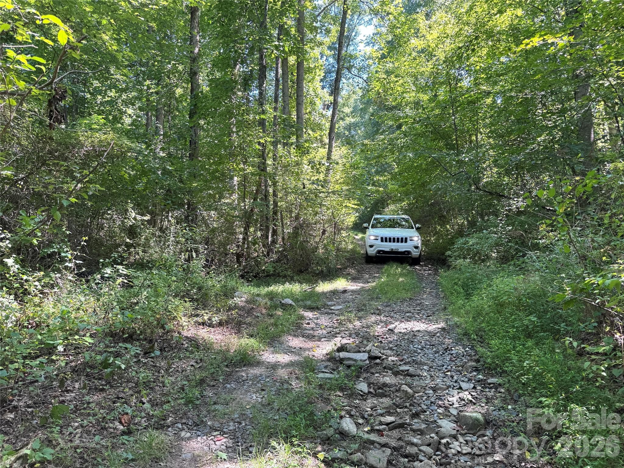Acreage at 300 ± Acres Upper Flat Creek Road, Weaverville, photo 9 of 47