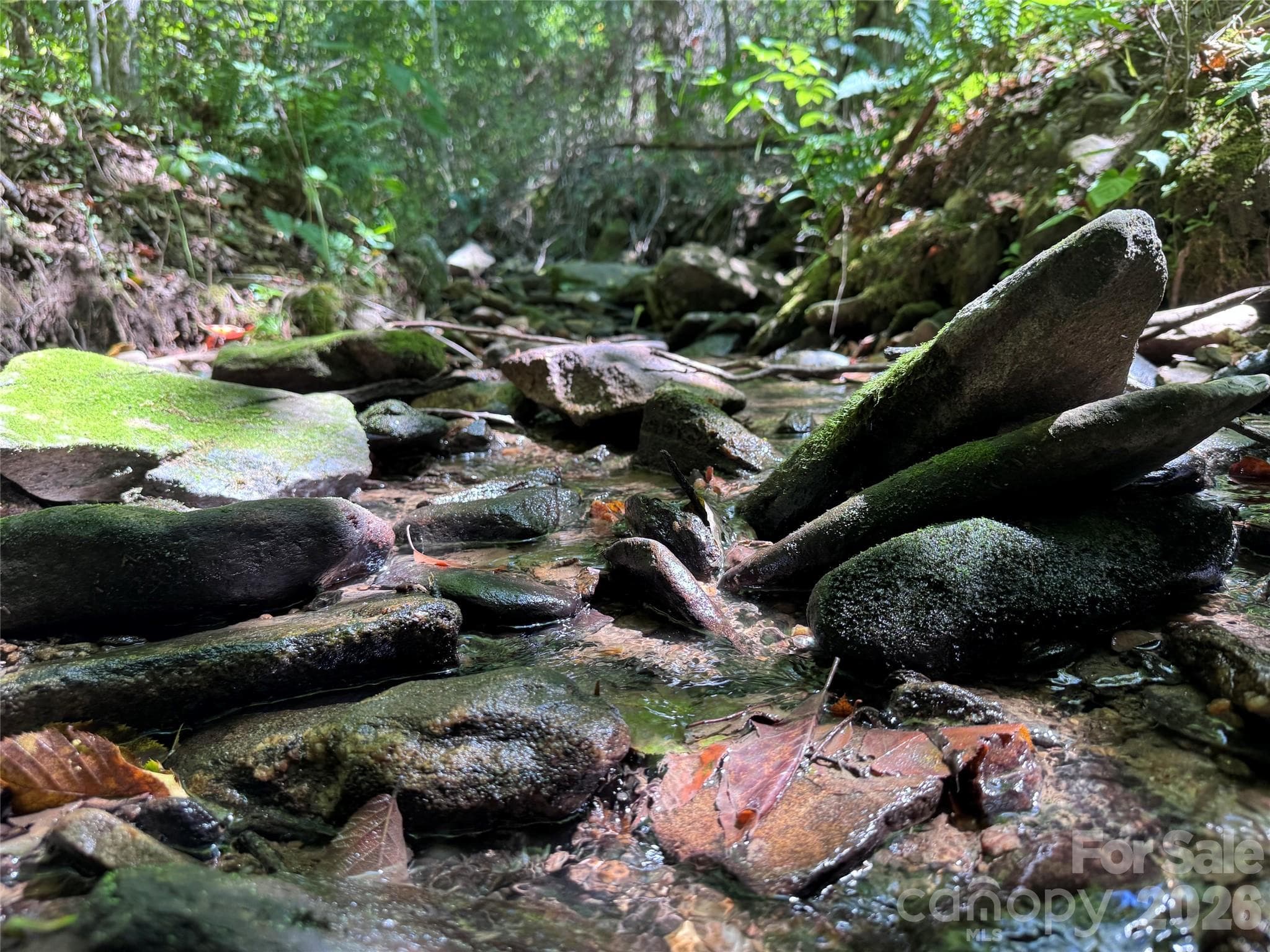 Acreage at 300 ± Acres Upper Flat Creek Road, Weaverville, photo 11 of 47