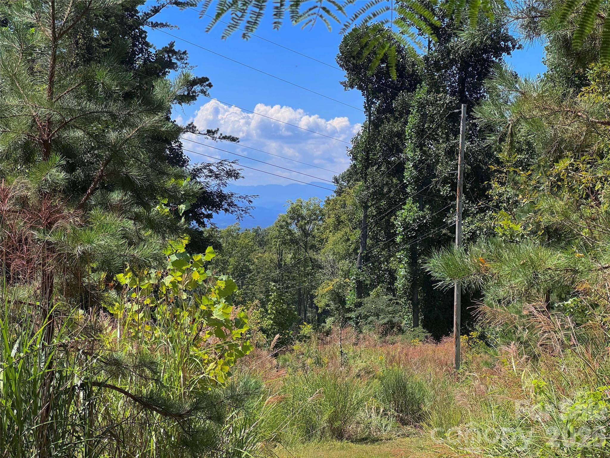 Acreage at 300 ± Acres Upper Flat Creek Road, Weaverville, photo 12 of 47