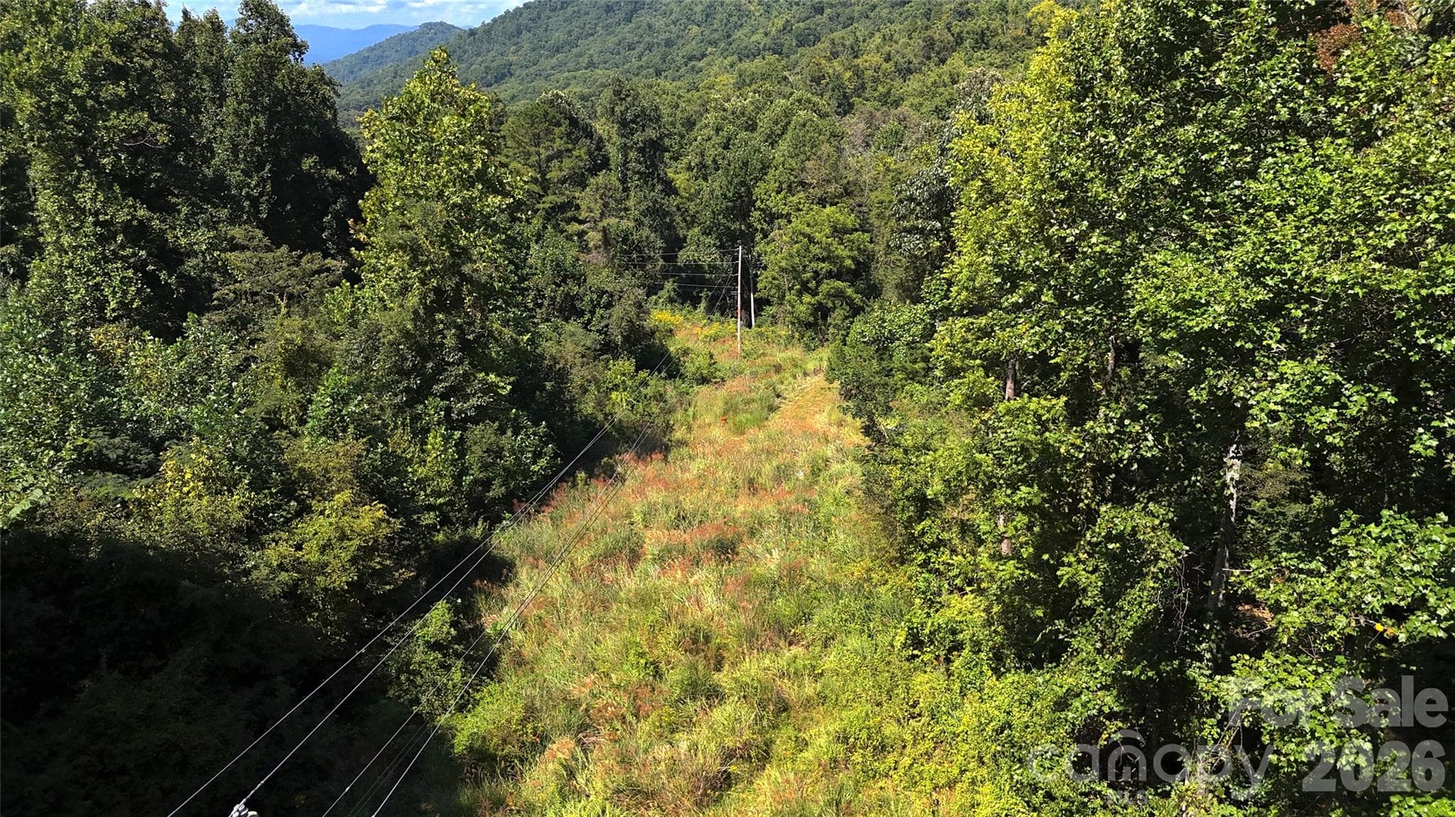 Acreage at 300 ± Acres Upper Flat Creek Road, Weaverville, photo 13 of 47