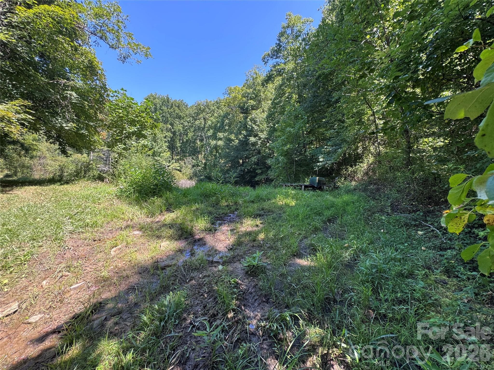 Acreage at 300 ± Acres Upper Flat Creek Road, Weaverville, photo 15 of 47