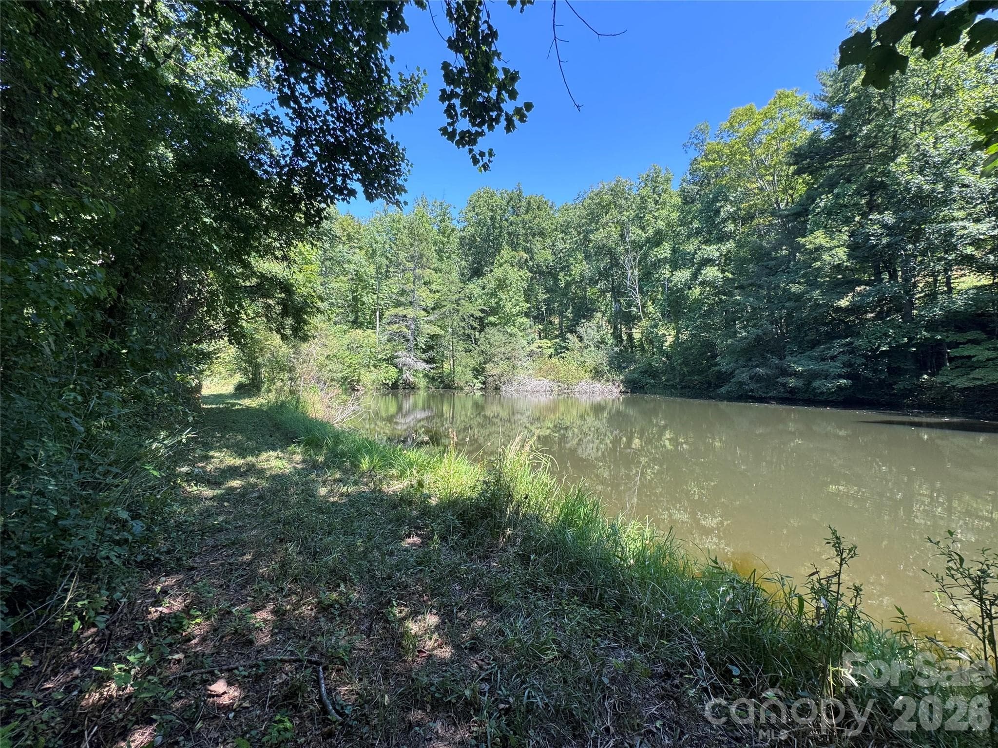 Acreage at 300 ± Acres Upper Flat Creek Road, Weaverville, photo 16 of 47