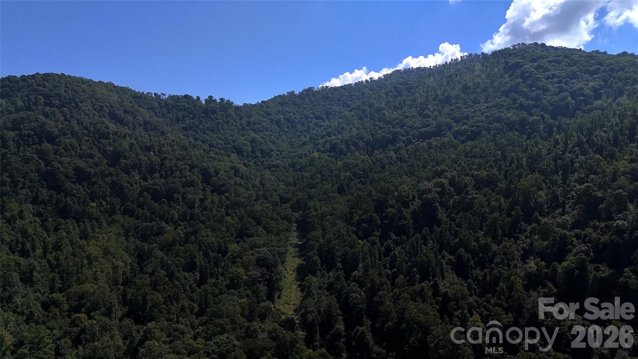 Acreage at 300 ± Acres Upper Flat Creek Road, Weaverville, photo 22 of 47