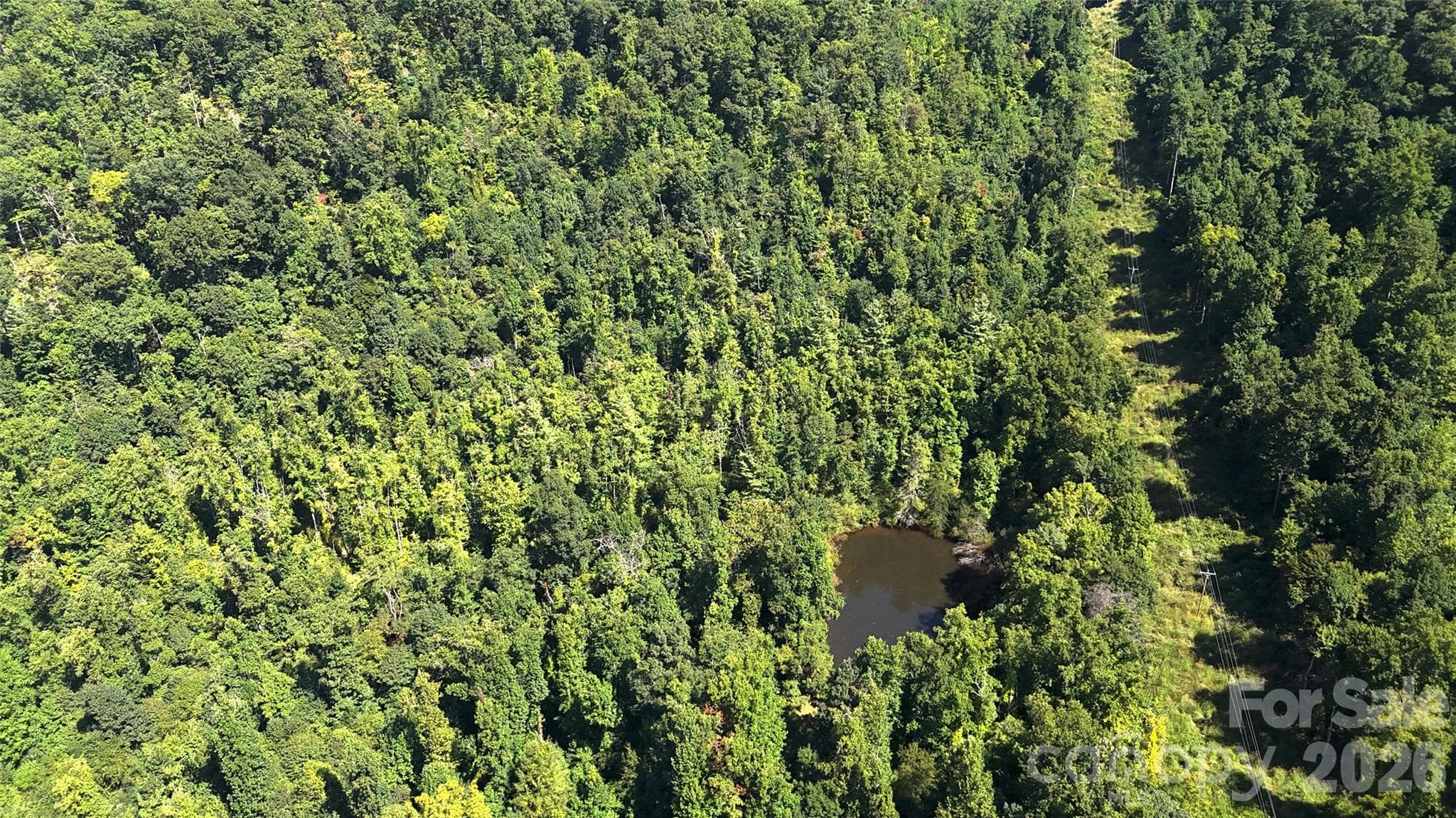 Acreage at 300 ± Acres Upper Flat Creek Road, Weaverville, photo 36 of 47