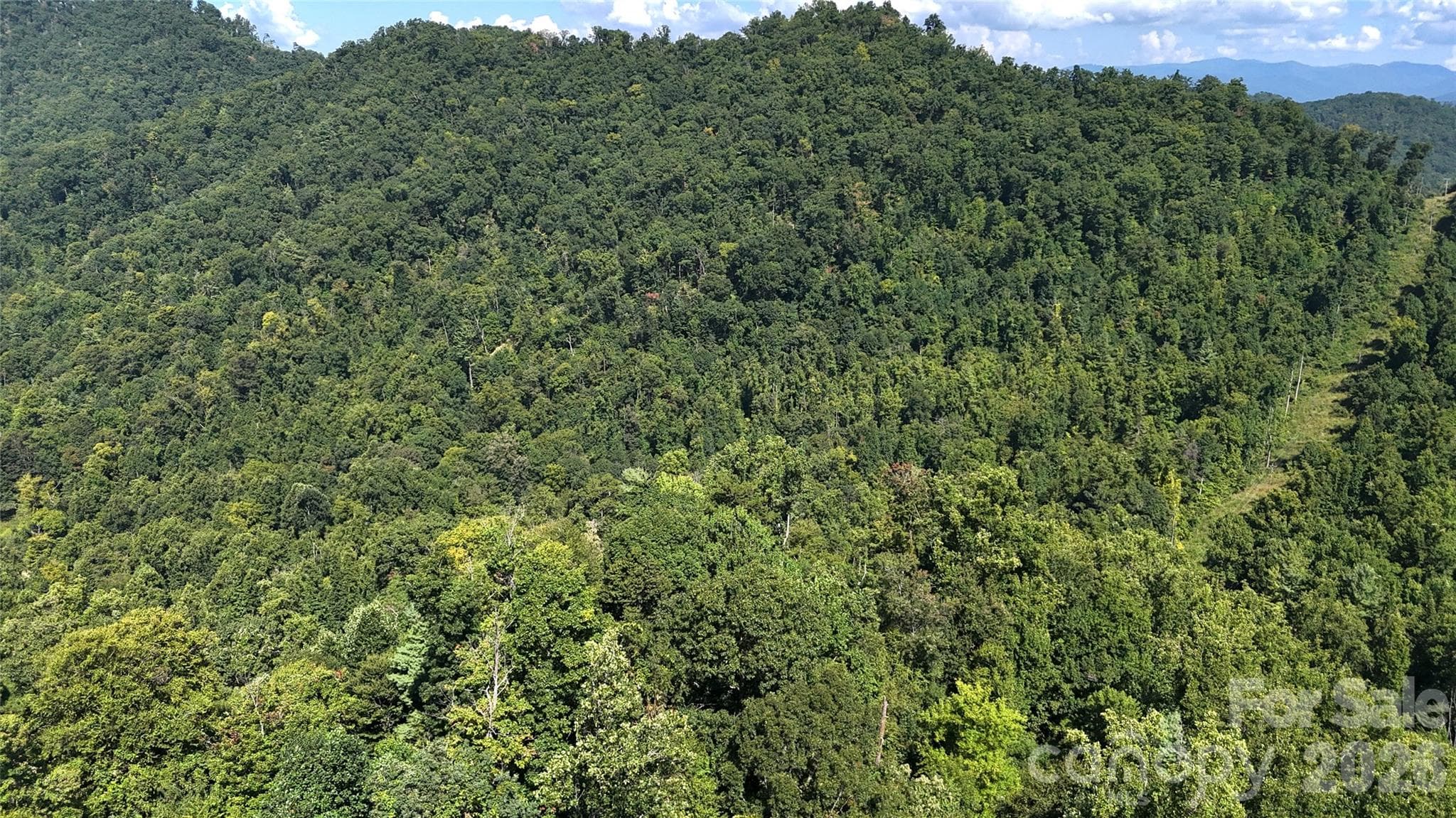 Acreage at 300 ± Acres Upper Flat Creek Road, Weaverville, photo 37 of 47