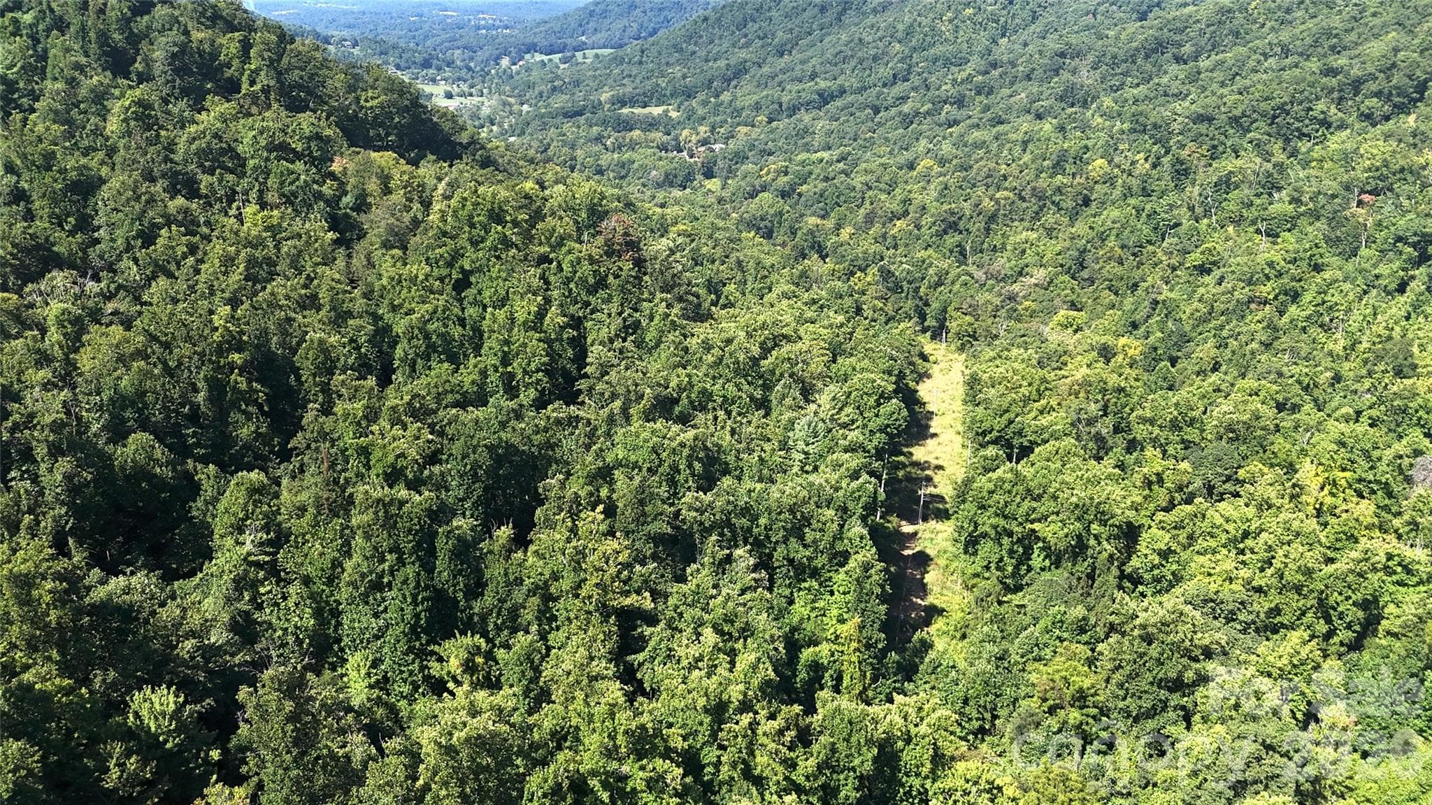 Acreage at 300 ± Acres Upper Flat Creek Road, Weaverville, photo 42 of 47