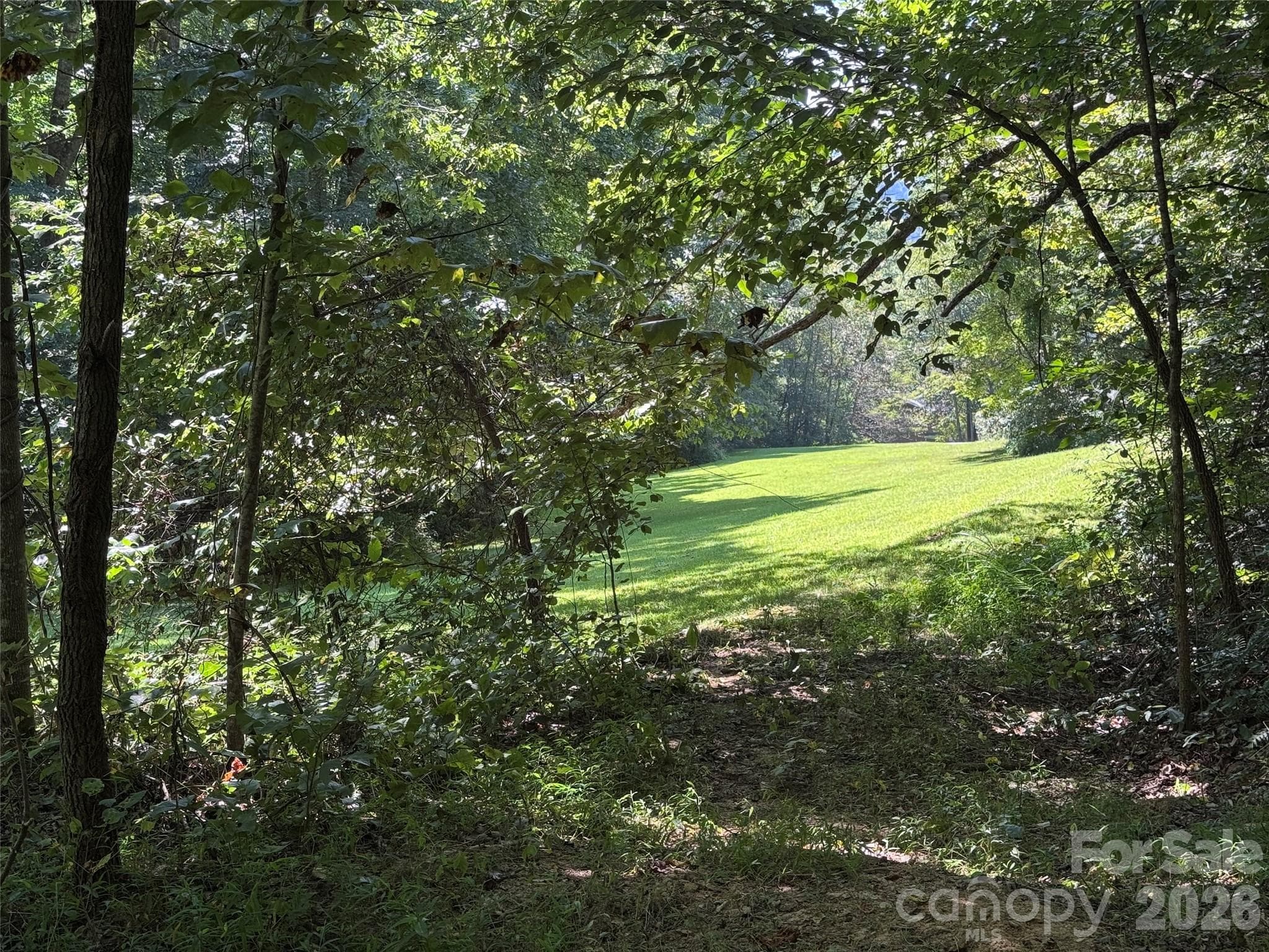 Acreage at 101 ± Acres Timbersong Drive, Weaverville, photo 8 of 39