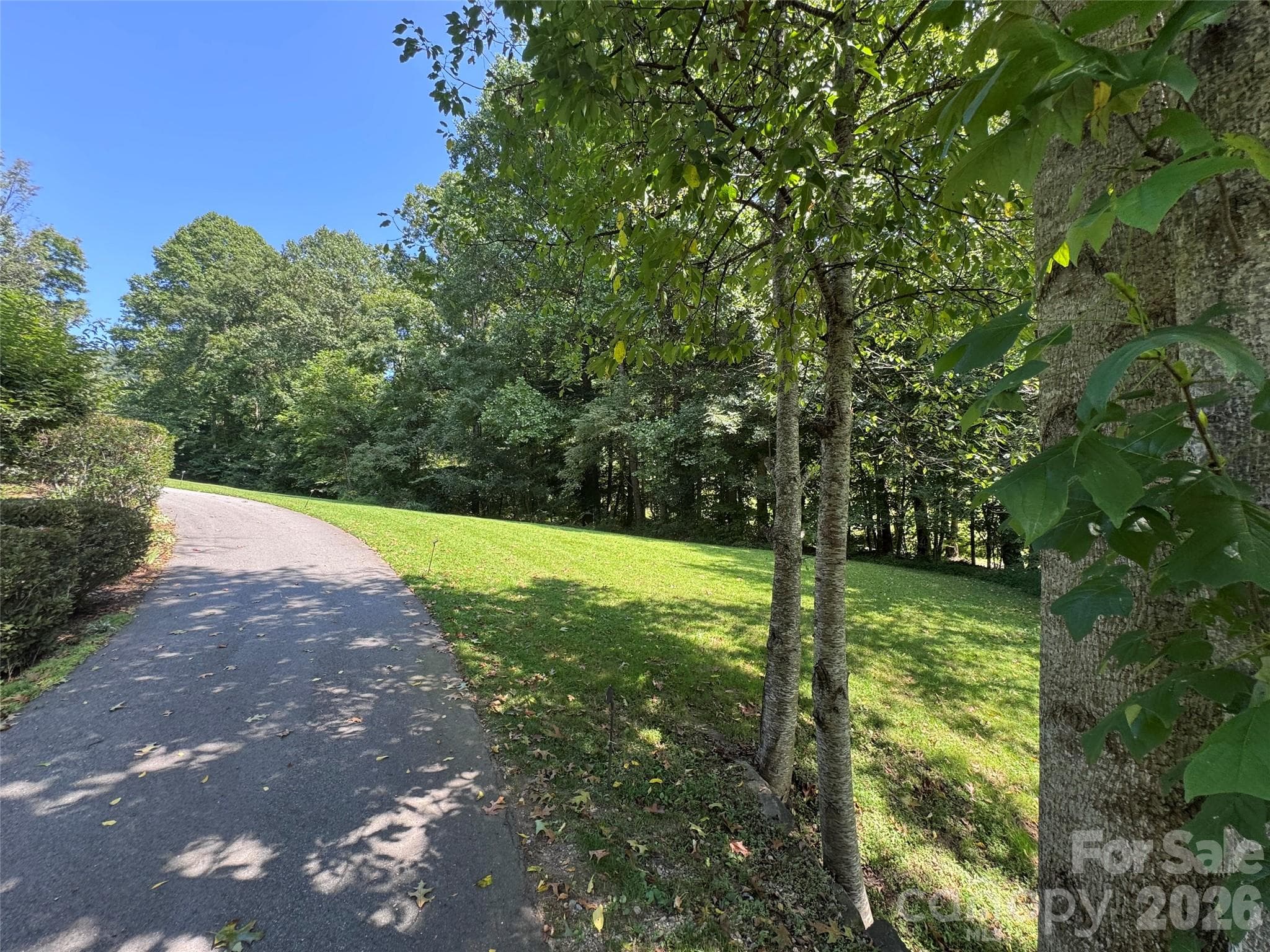 Acreage at 101 ± Acres Timbersong Drive, Weaverville, photo 9 of 39