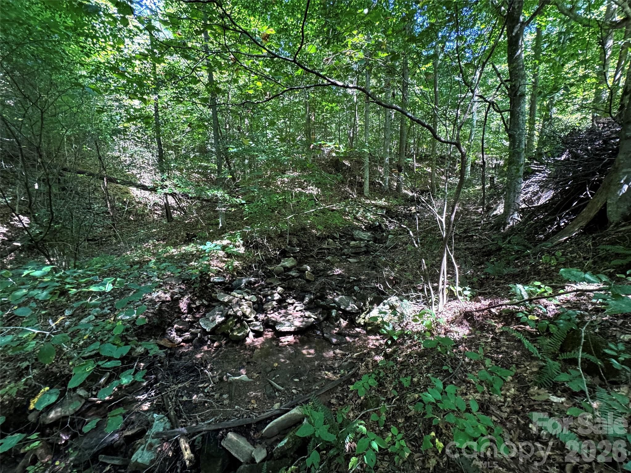 Acreage at 101 ± Acres Timbersong Drive, Weaverville, photo 11 of 39