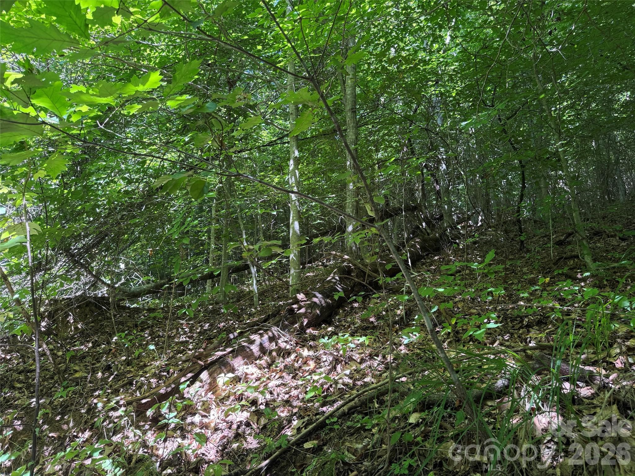Acreage at 101 ± Acres Timbersong Drive, Weaverville, photo 14 of 39