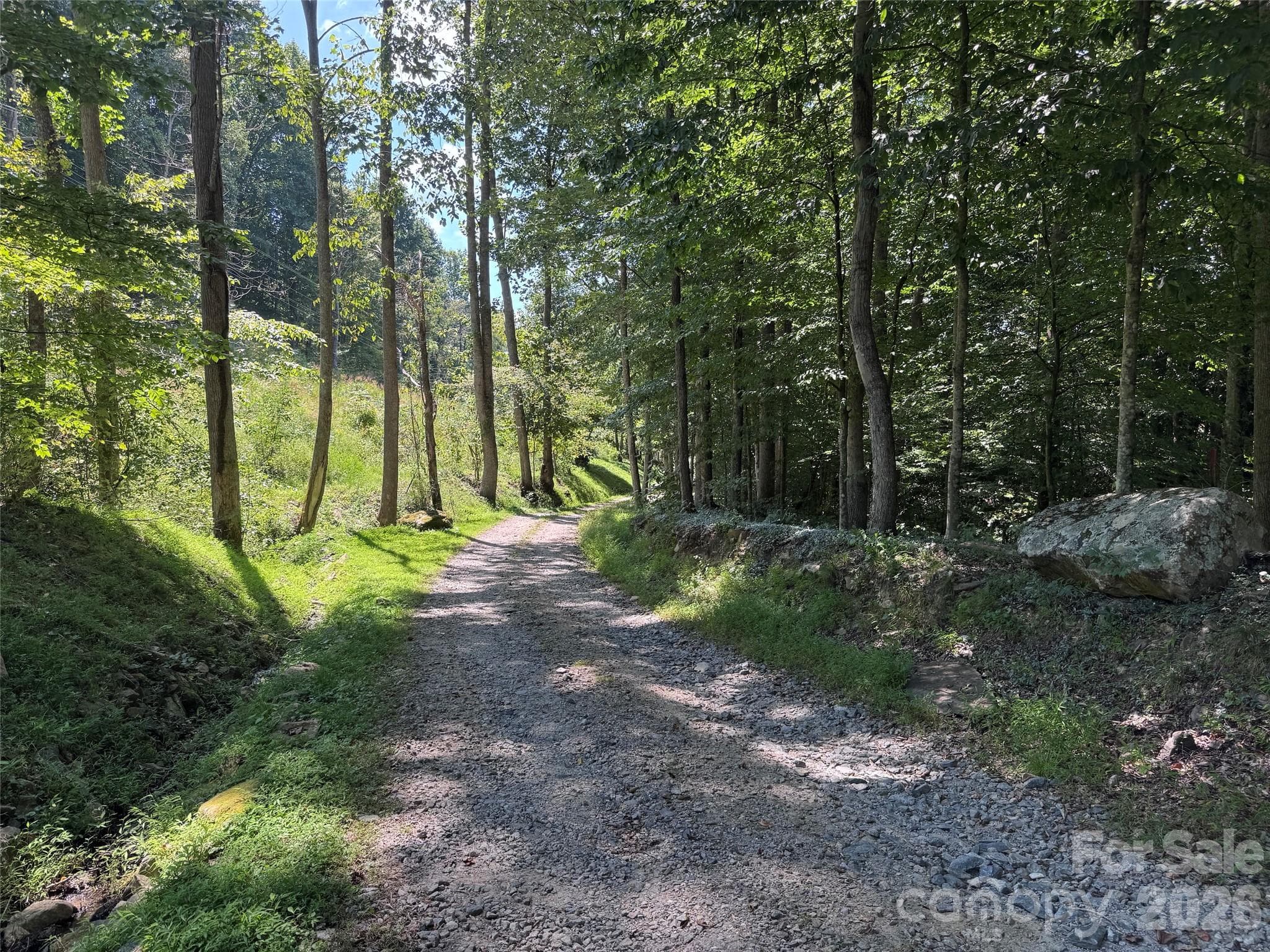 Acreage at 101 ± Acres Timbersong Drive, Weaverville, photo 15 of 39