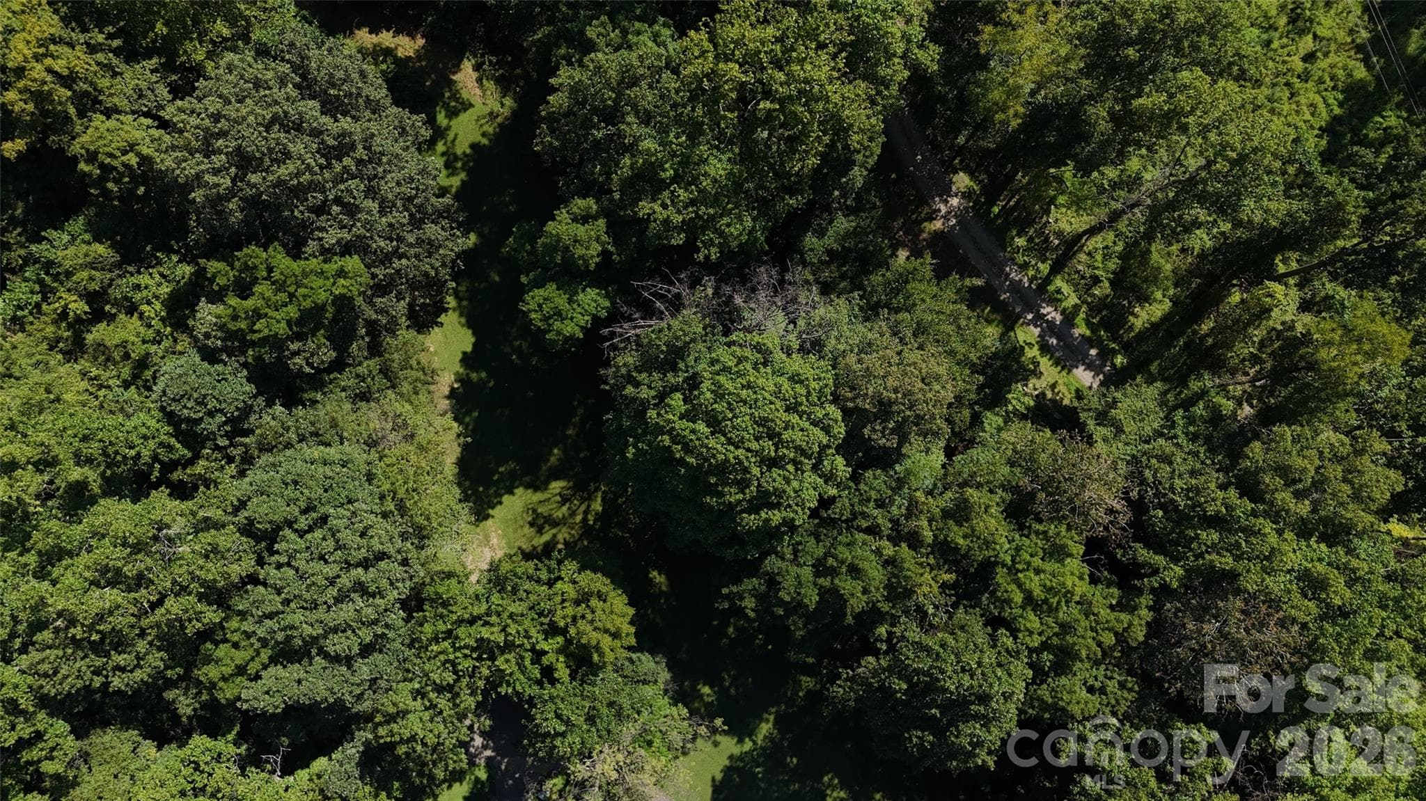 Acreage at 101 ± Acres Timbersong Drive, Weaverville, photo 25 of 39