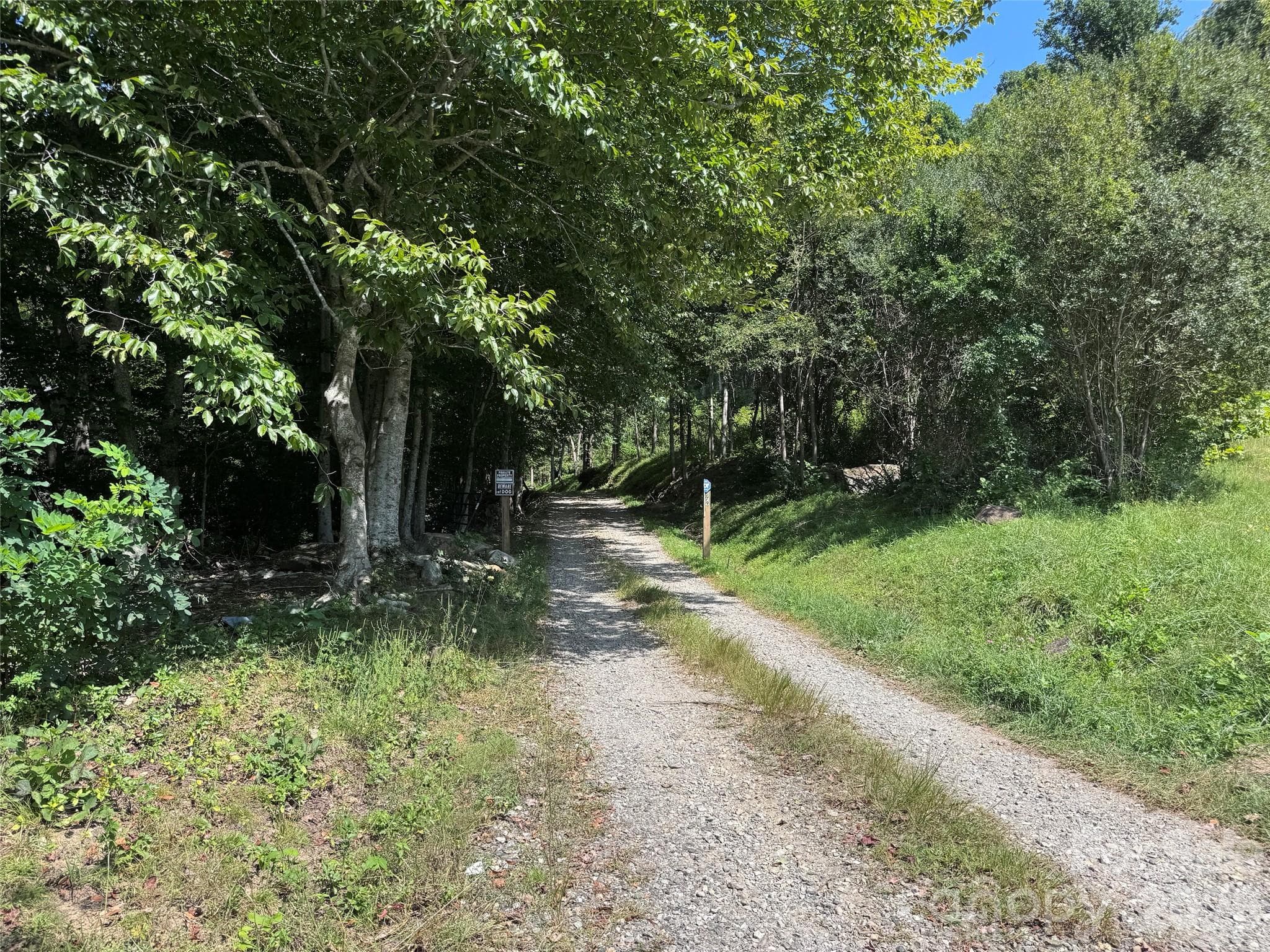 Acreage at 101 ± Acres Timbersong Drive, Weaverville, photo 26 of 39