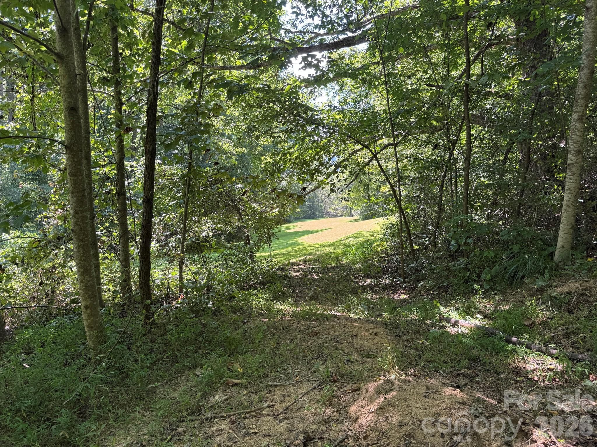 Acreage at 101 ± Acres Timbersong Drive, Weaverville, photo 29 of 39