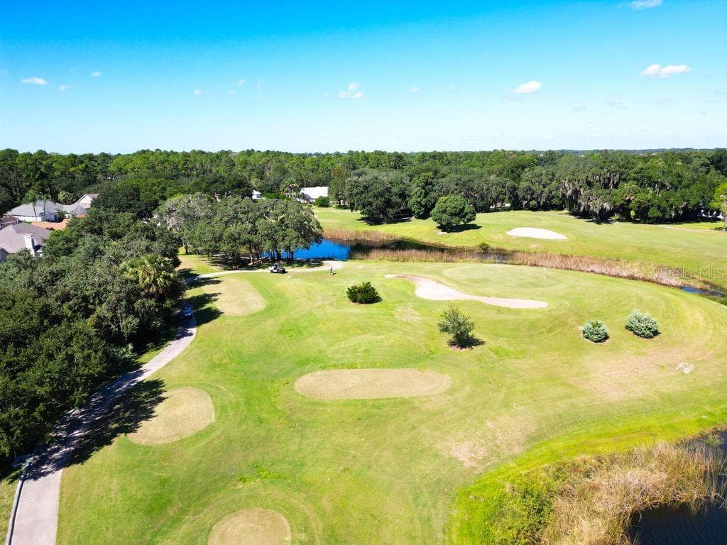 Single Family Residence at 9013 HEATHLAND CT, MOUNT DORA, photo 66 of 73