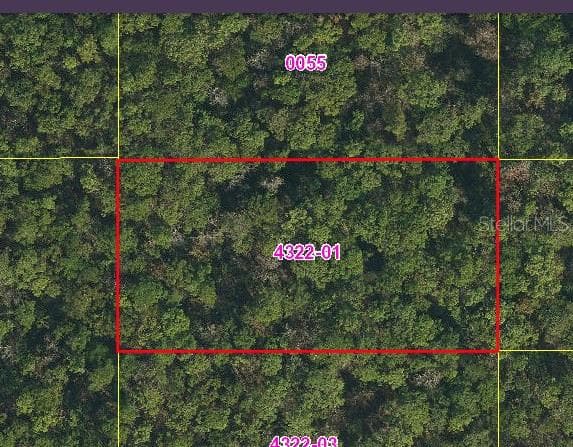 Land at SWEETWATER TRL, KISSIMMEE, photo 3 of 8