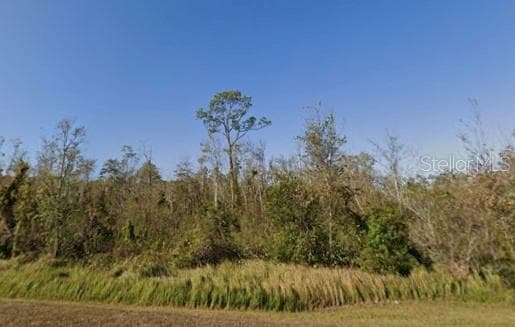 Land at SWEETWATER TRL, KISSIMMEE, photo 8 of 8