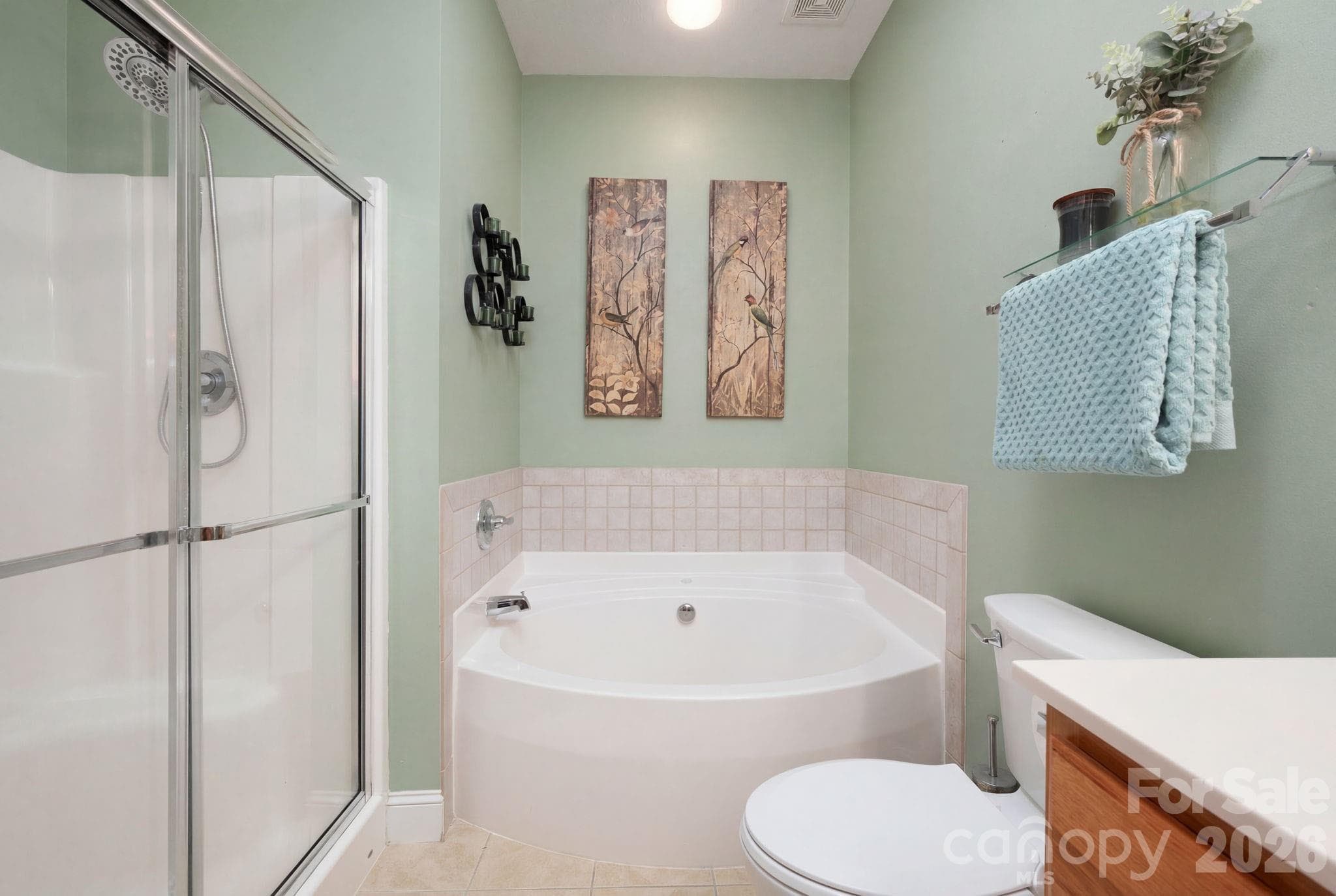 Convenient Step-in Shower - 44 Viera Drive, Swannanoa