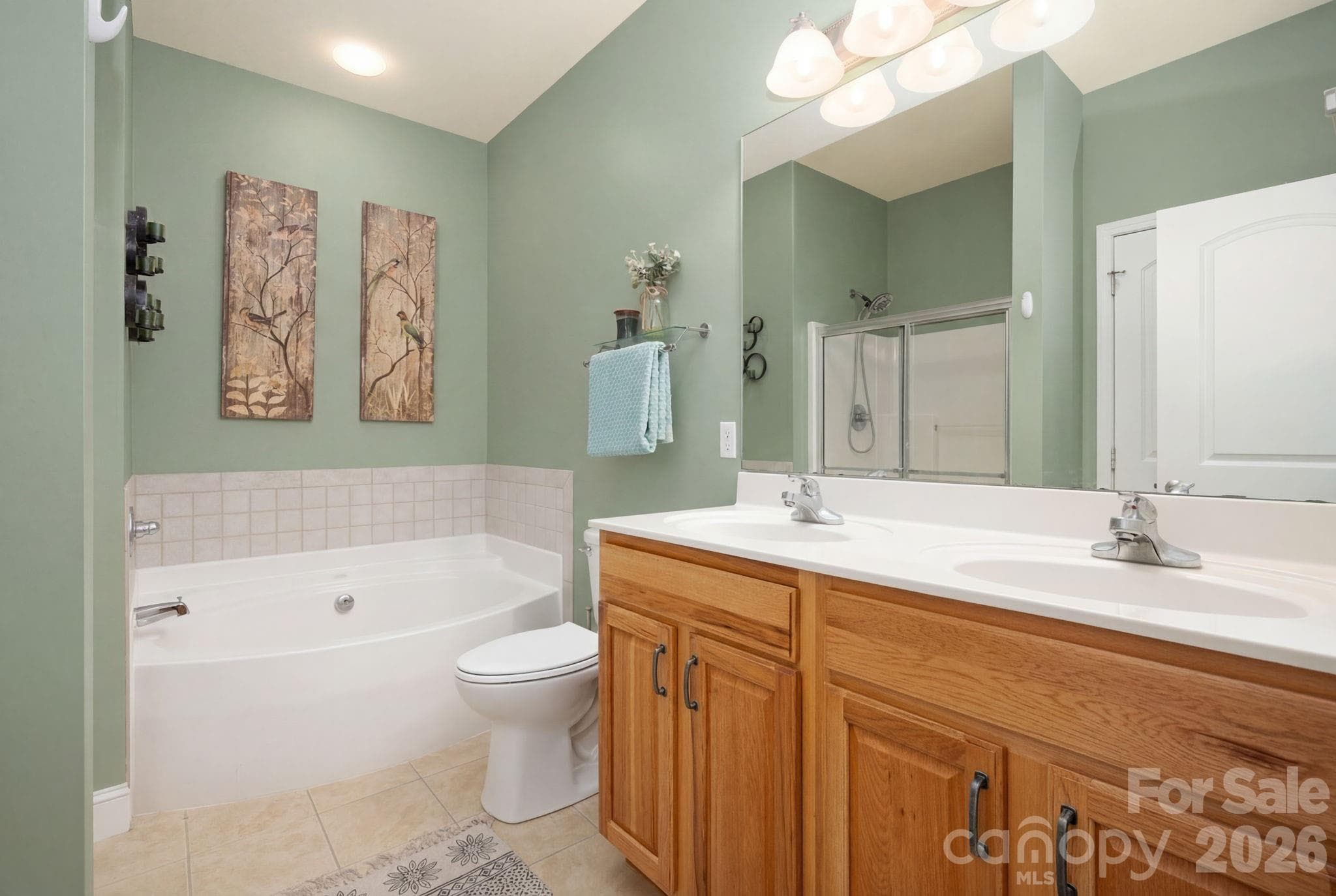 Lots of Cabinets in Primary Bath - 44 Viera Drive, Swannanoa