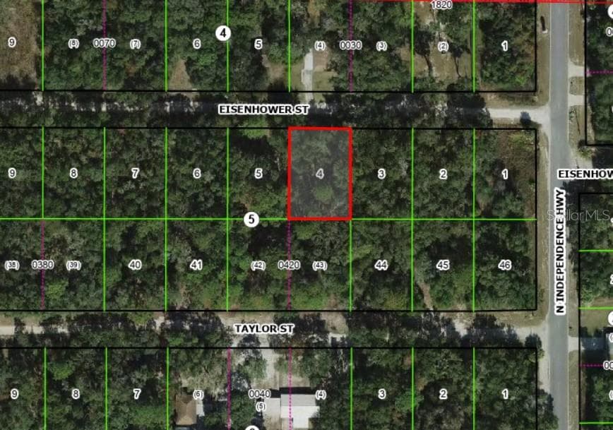 Land at 2805 EISENHOWER ST W, INVERNESS, photo 2 of 2