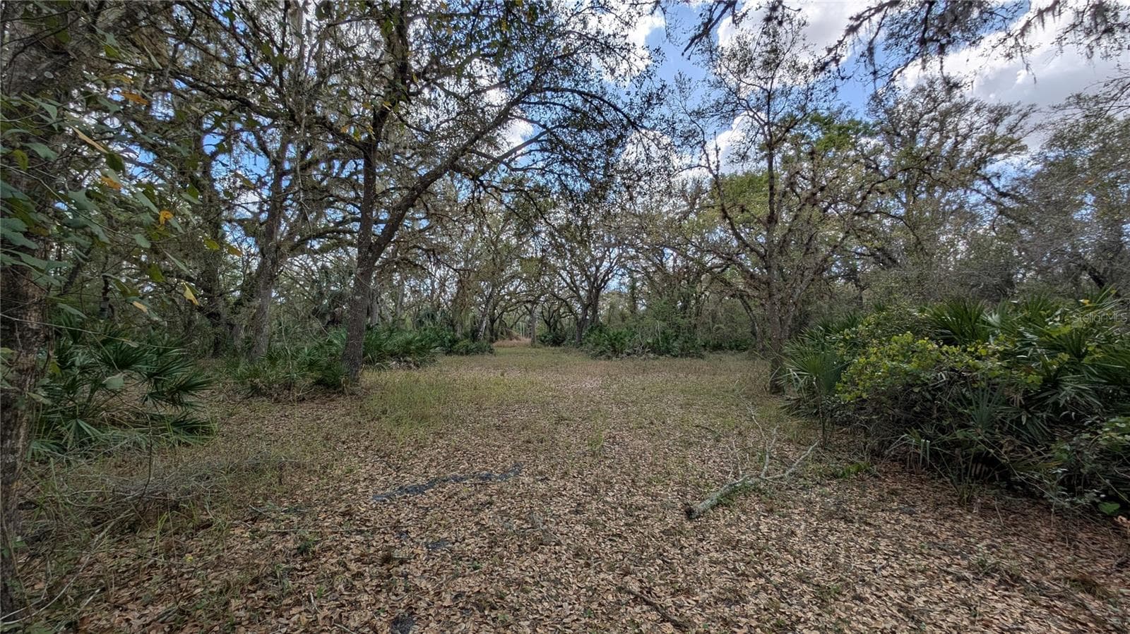 Land at GILLETTE RD, ZOLFO SPRINGS, photo 2 of 86