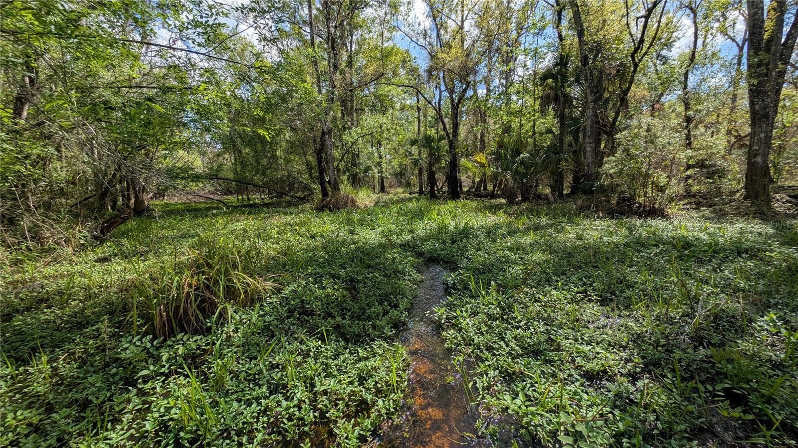 Land at GILLETTE RD, ZOLFO SPRINGS, photo 6 of 86