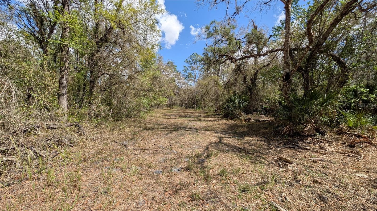 Land at GILLETTE RD, ZOLFO SPRINGS, photo 7 of 86