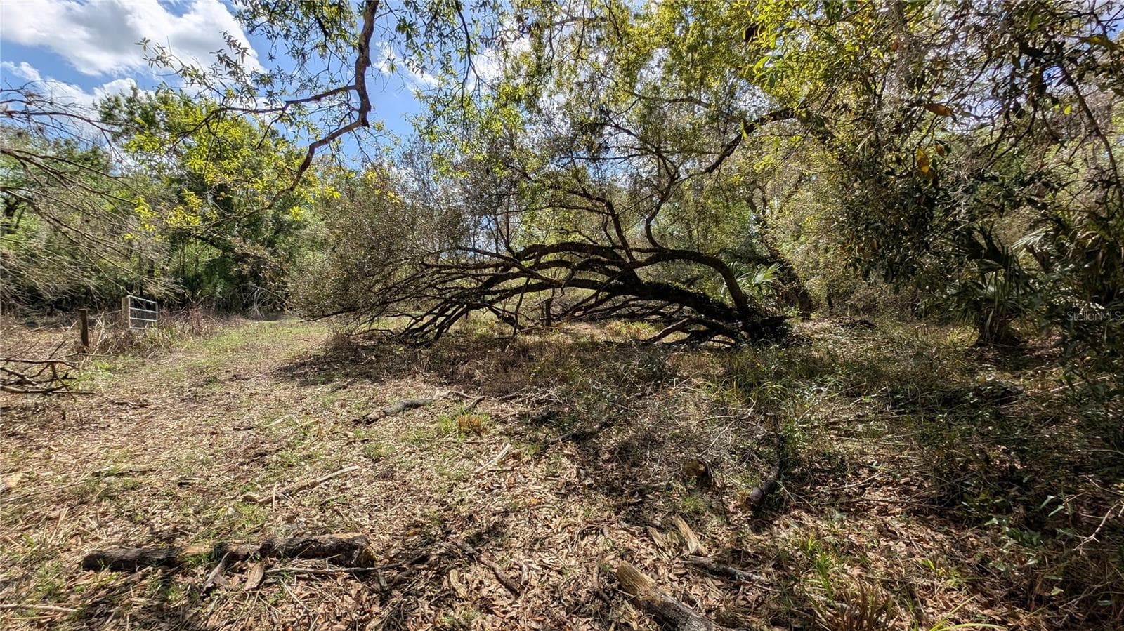 Land at GILLETTE RD, ZOLFO SPRINGS, photo 14 of 86