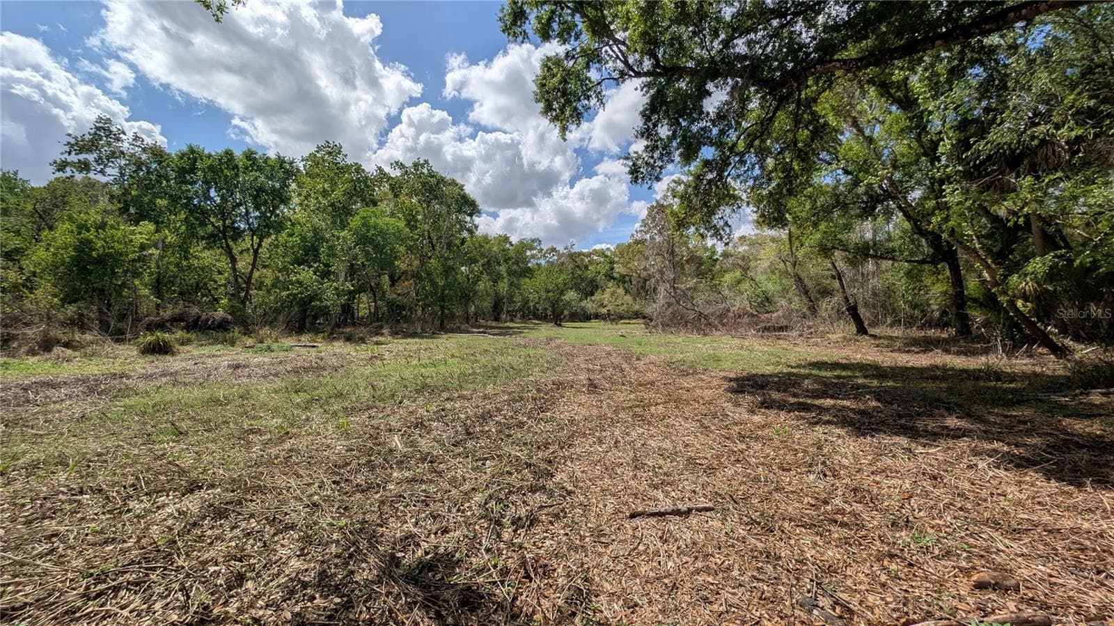 Land at GILLETTE RD, ZOLFO SPRINGS, photo 16 of 86