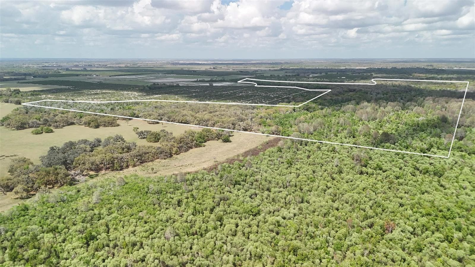 Land at GILLETTE RD, ZOLFO SPRINGS, photo 19 of 86