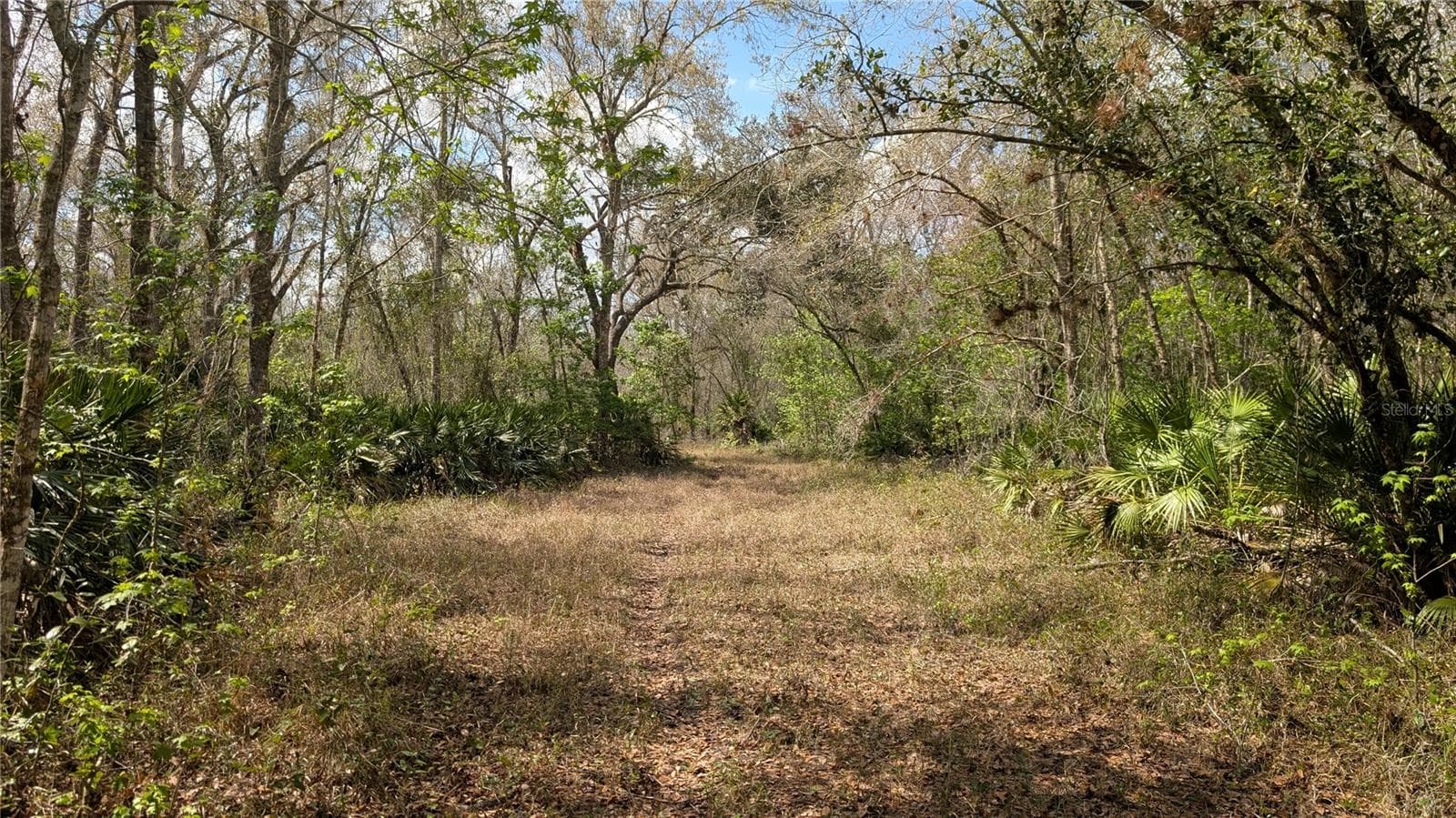 Land at GILLETTE RD, ZOLFO SPRINGS, photo 21 of 86