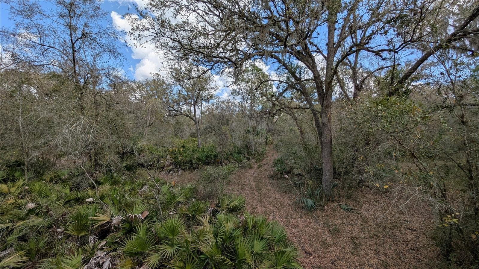 Land at GILLETTE RD, ZOLFO SPRINGS, photo 33 of 86