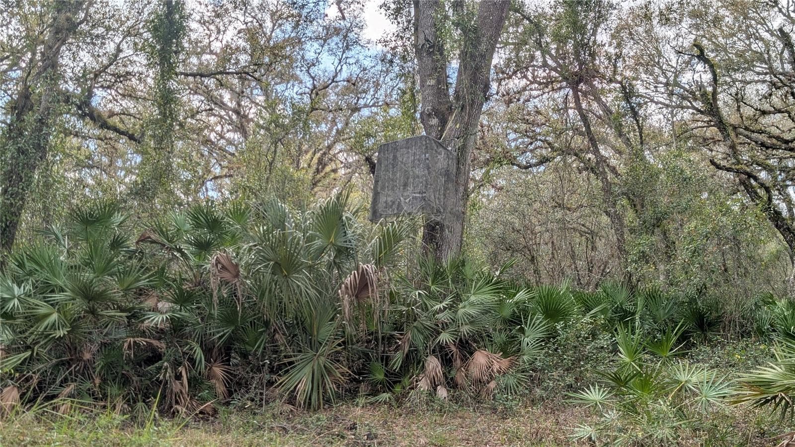 Land at GILLETTE RD, ZOLFO SPRINGS, photo 34 of 86