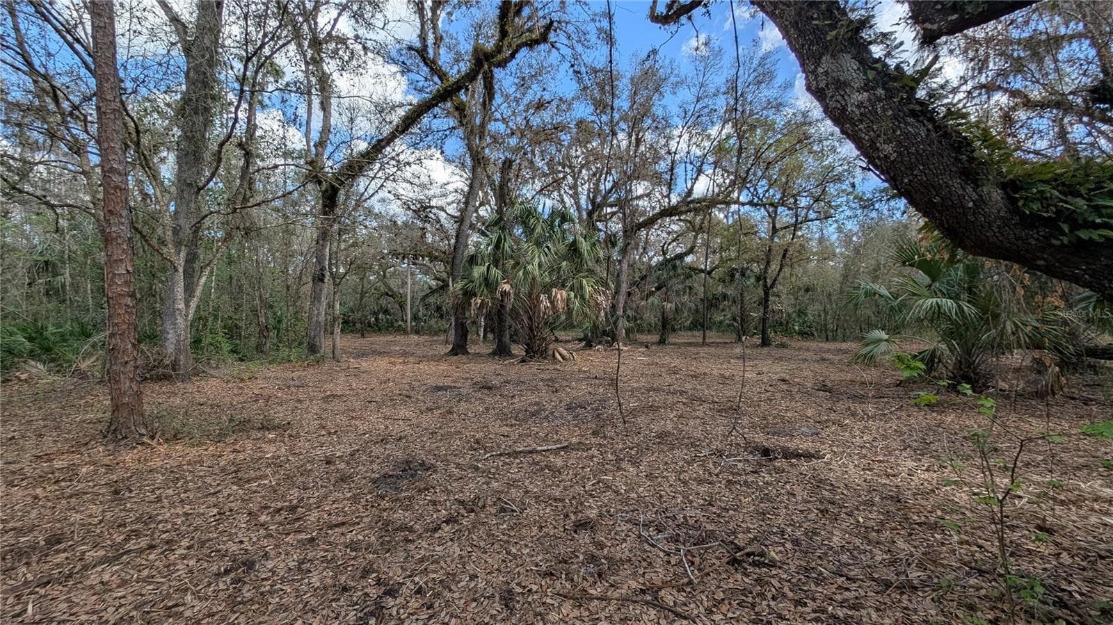 Land at GILLETTE RD, ZOLFO SPRINGS, photo 36 of 86