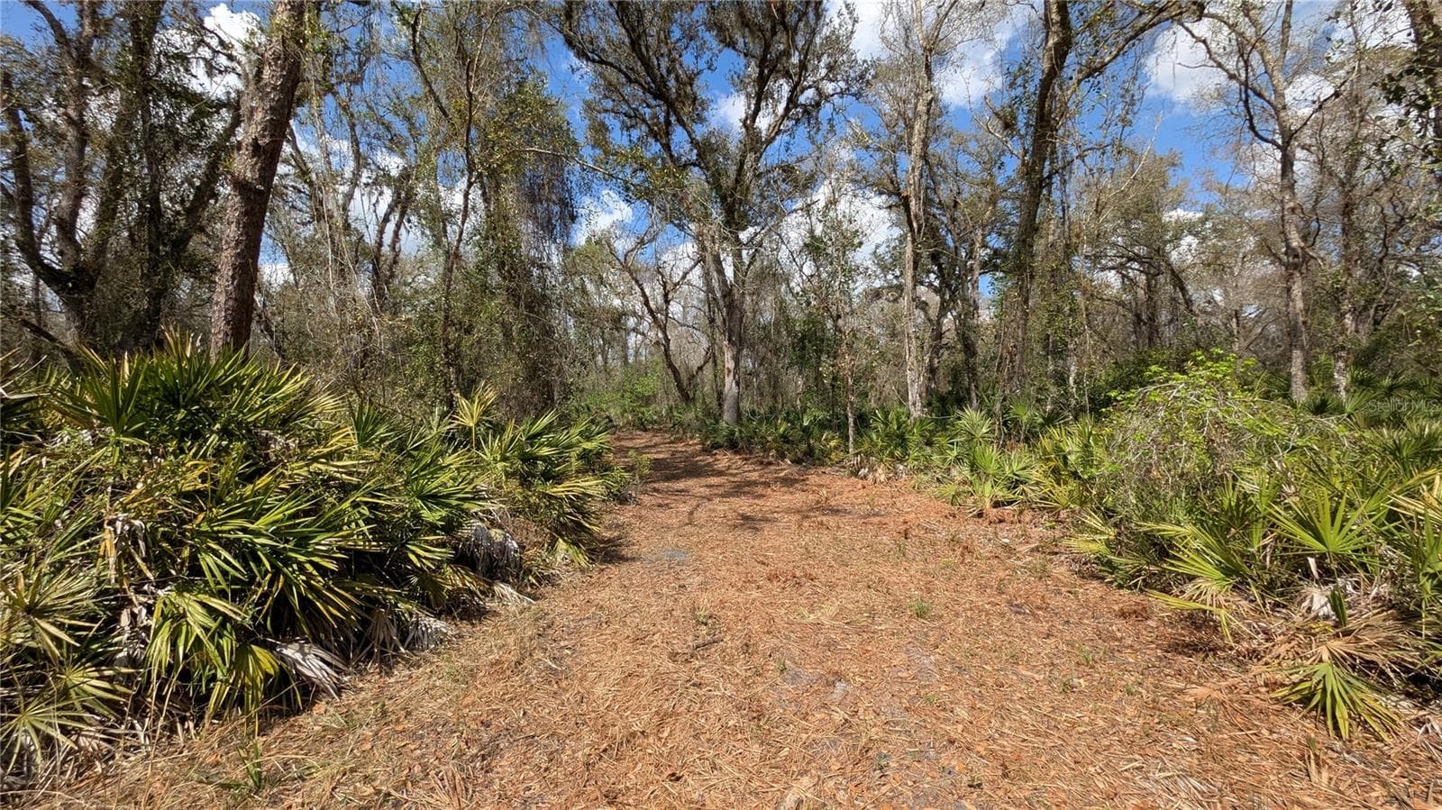 Land at GILLETTE RD, ZOLFO SPRINGS, photo 37 of 86
