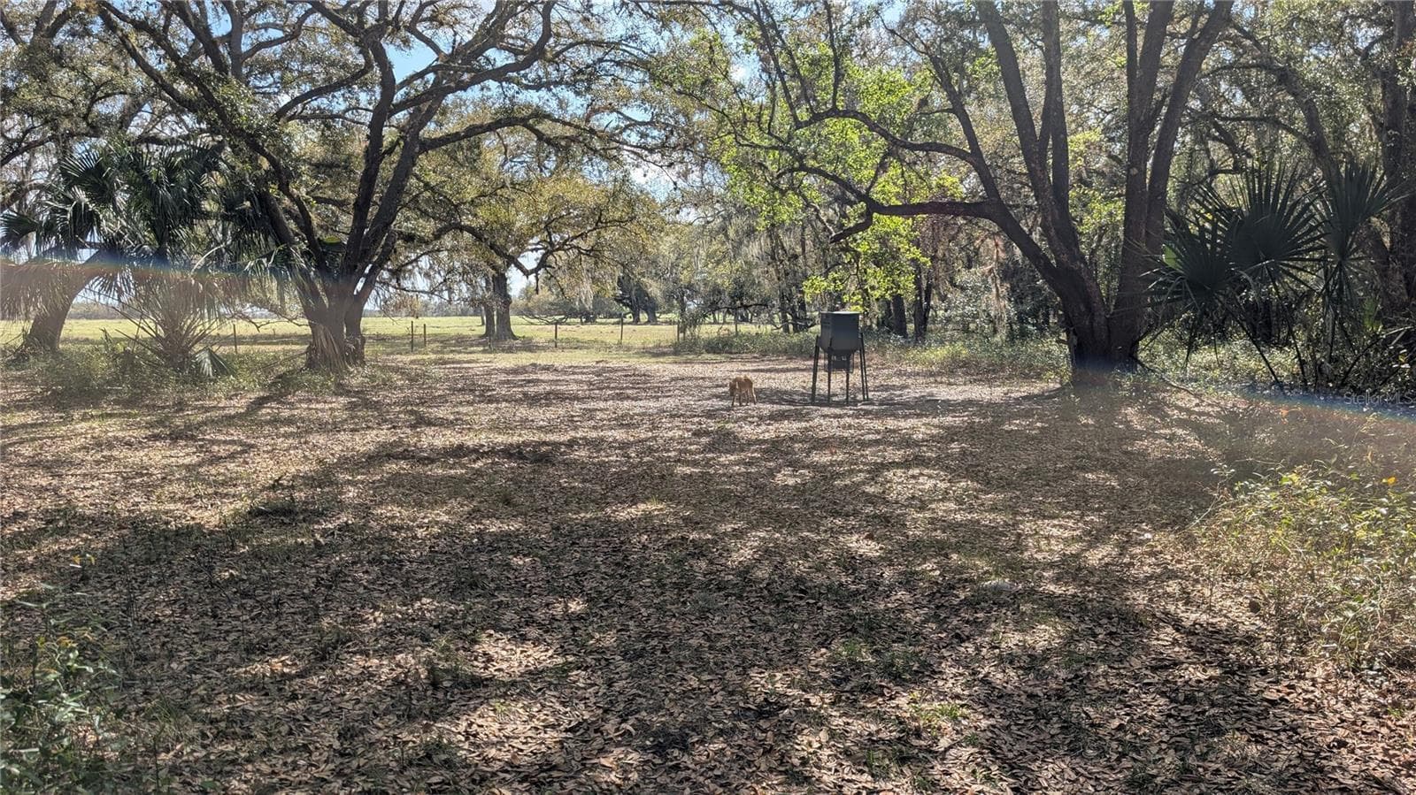 Land at GILLETTE RD, ZOLFO SPRINGS, photo 39 of 86