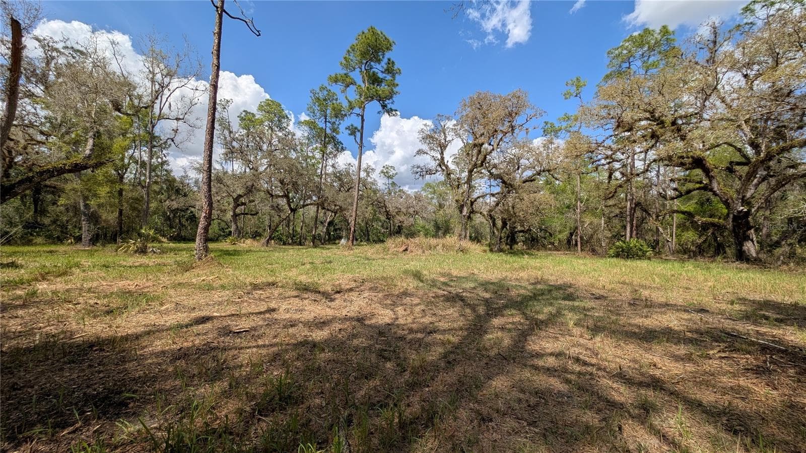 Land at GILLETTE RD, ZOLFO SPRINGS, photo 40 of 86