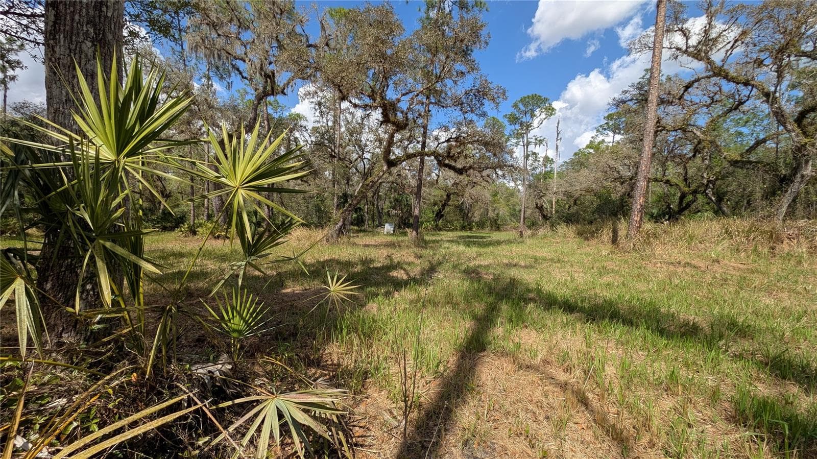 Land at GILLETTE RD, ZOLFO SPRINGS, photo 41 of 86
