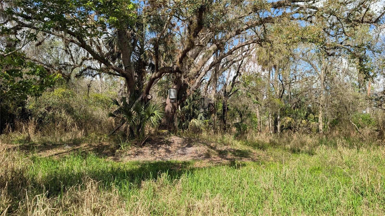 Land at GILLETTE RD, ZOLFO SPRINGS, photo 43 of 86